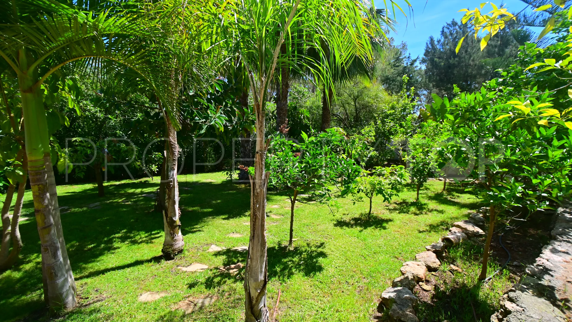 5 bedrooms San Carlos chalet for sale