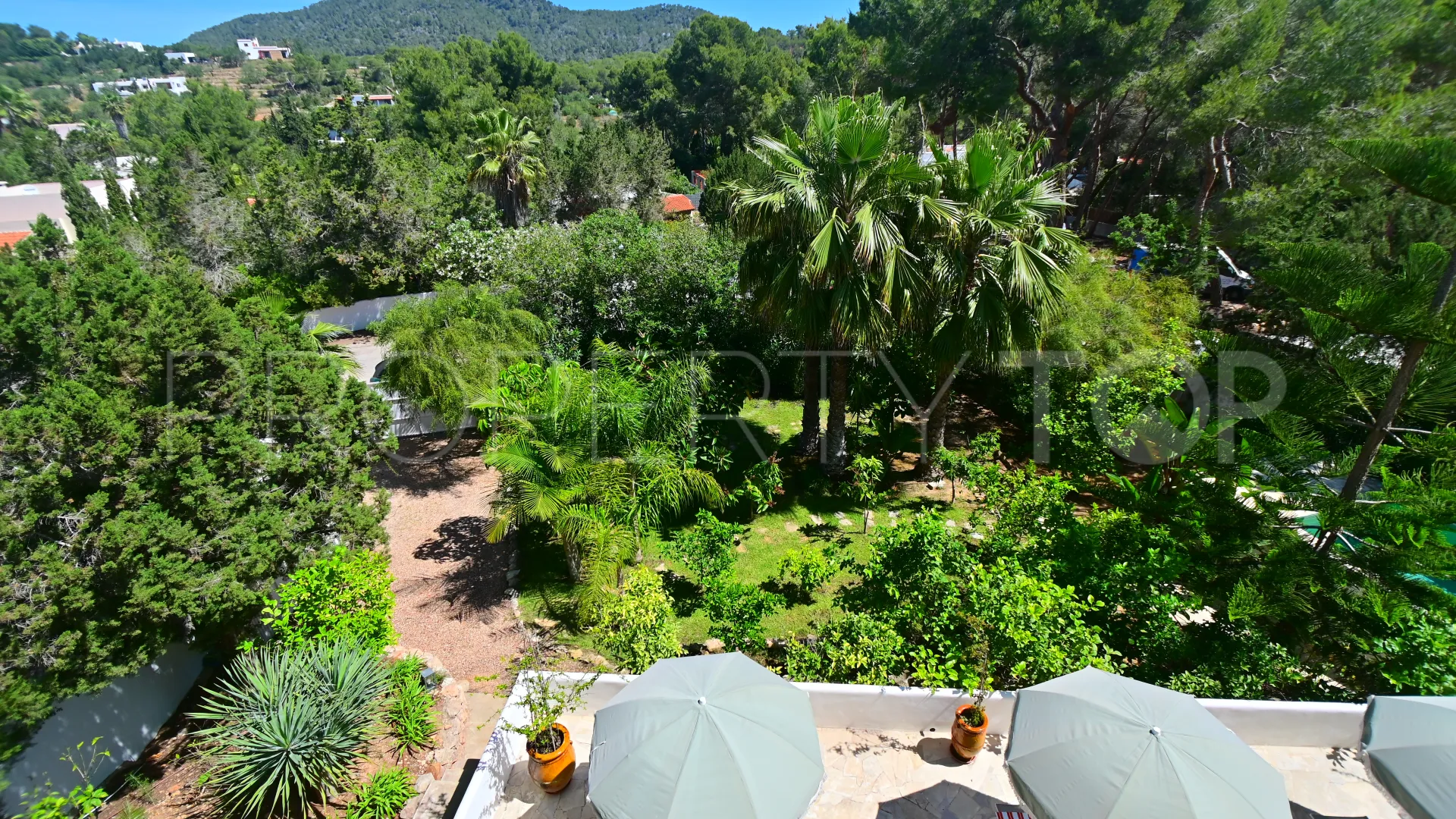 5 bedrooms San Carlos chalet for sale