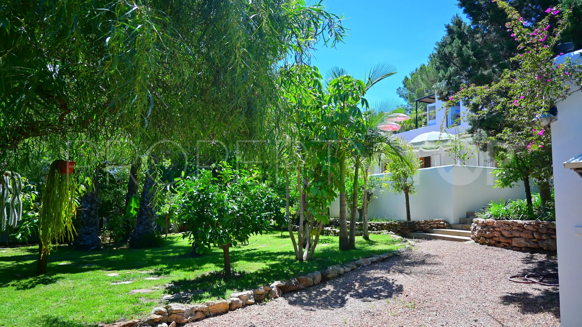 5 bedrooms San Carlos chalet for sale