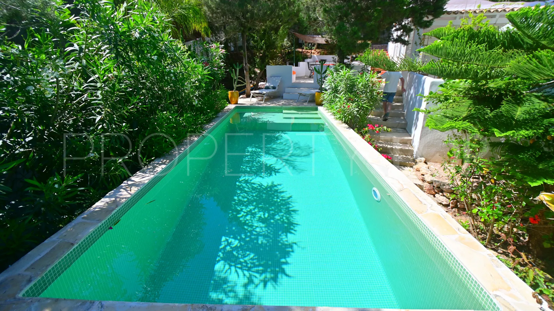 5 bedrooms San Carlos chalet for sale