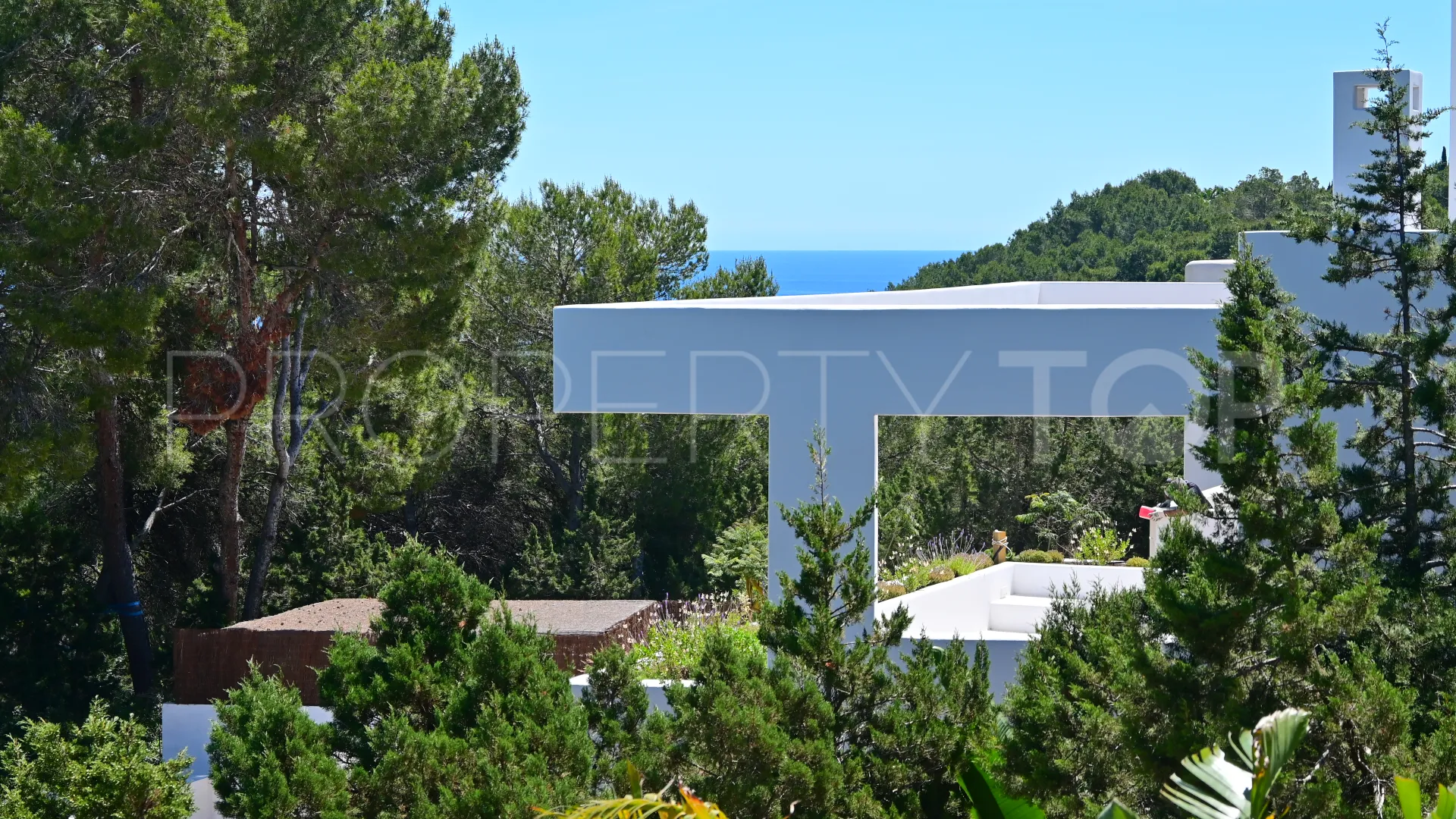5 bedrooms San Carlos chalet for sale