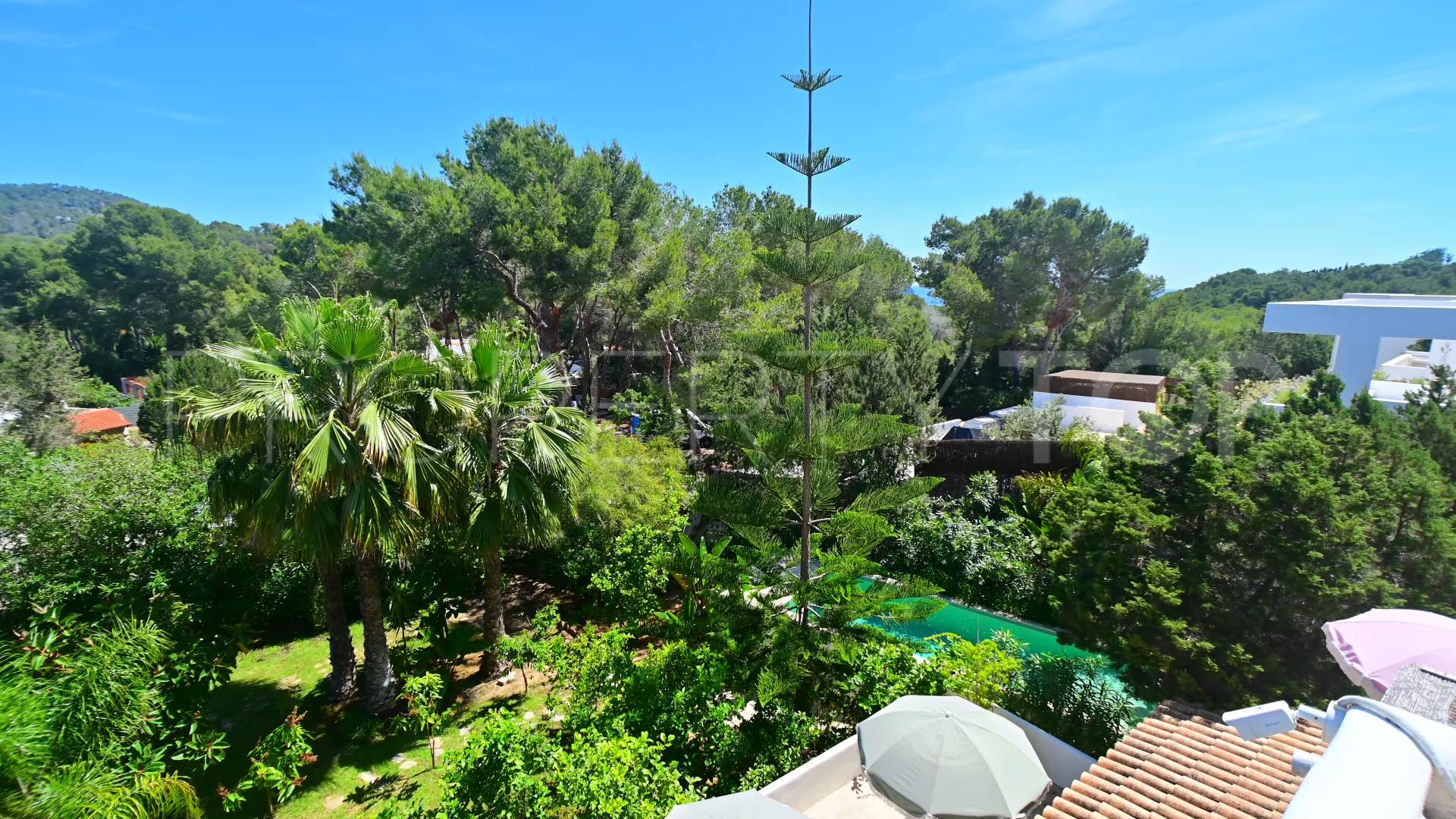 5 bedrooms San Carlos chalet for sale