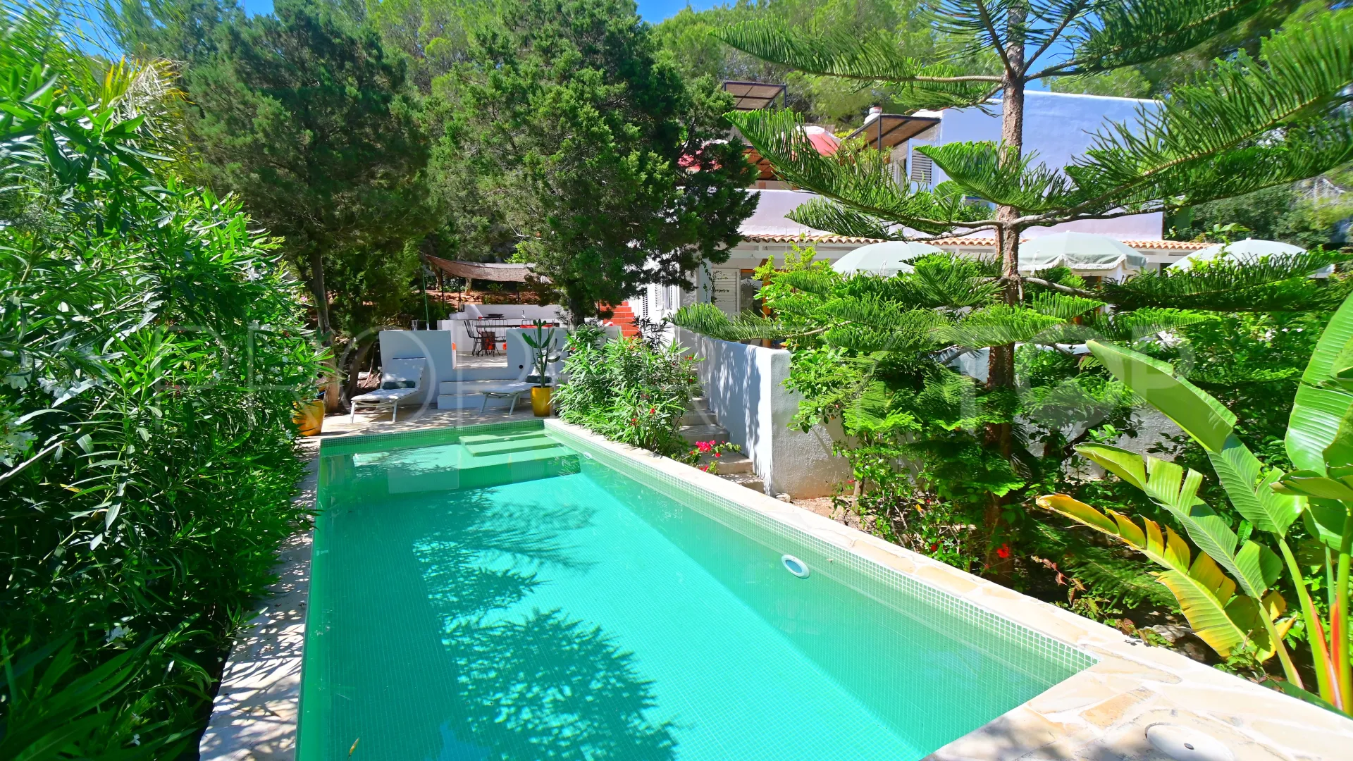 5 bedrooms San Carlos chalet for sale
