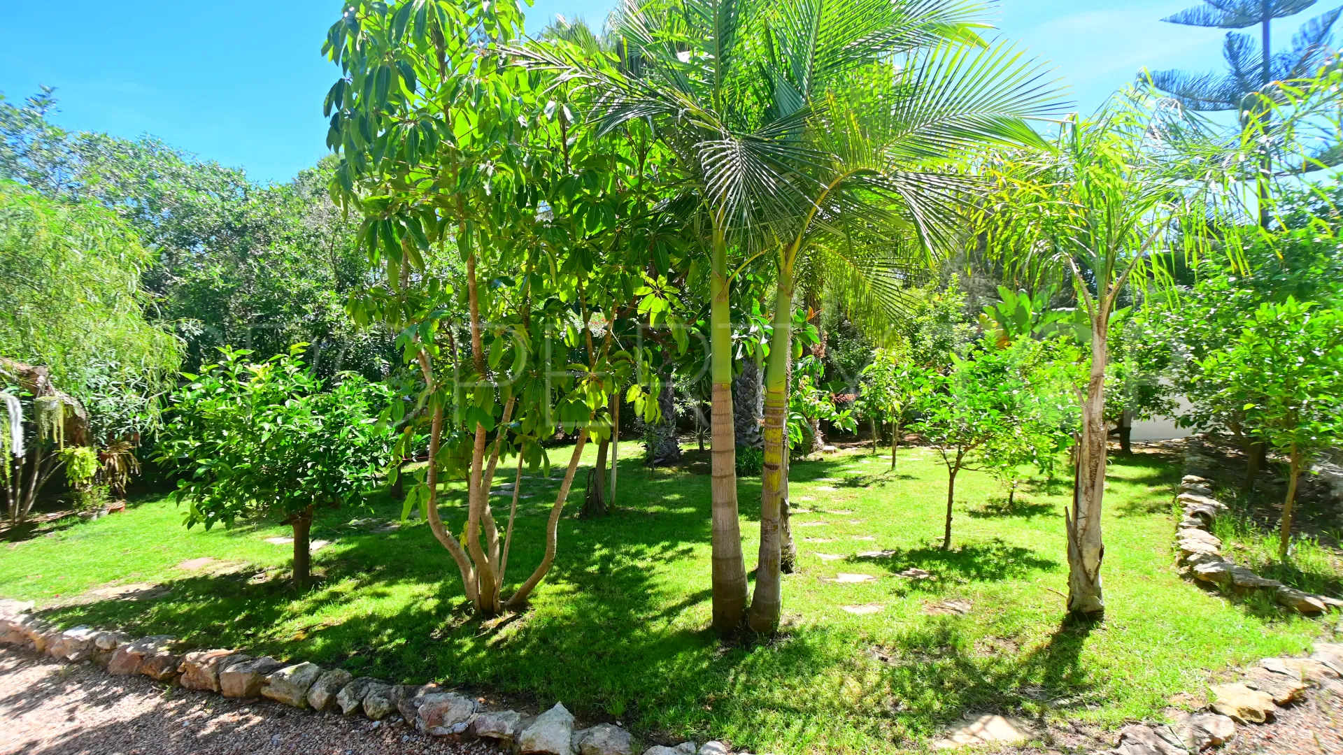 5 bedrooms San Carlos chalet for sale