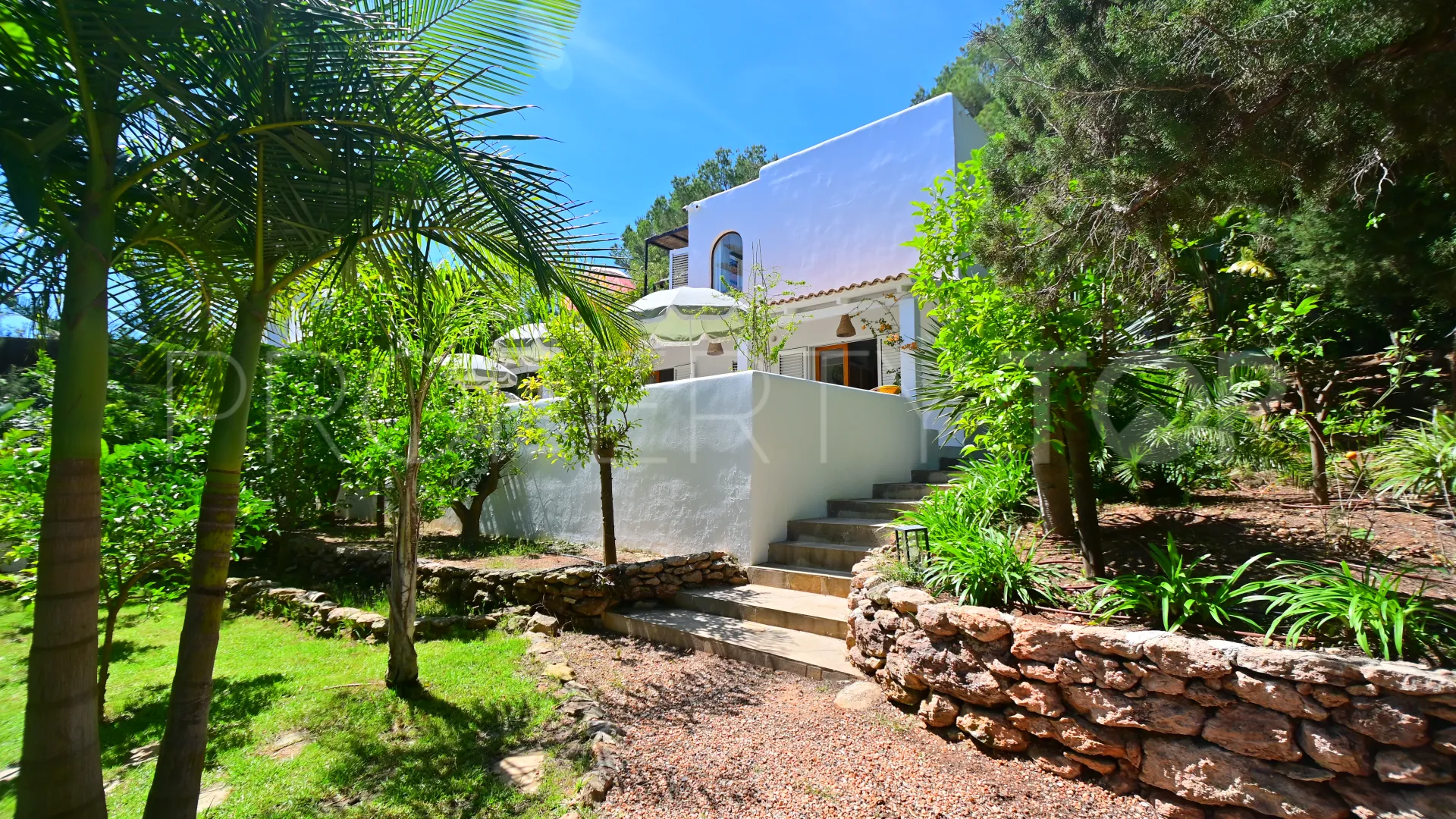 5 bedrooms San Carlos chalet for sale