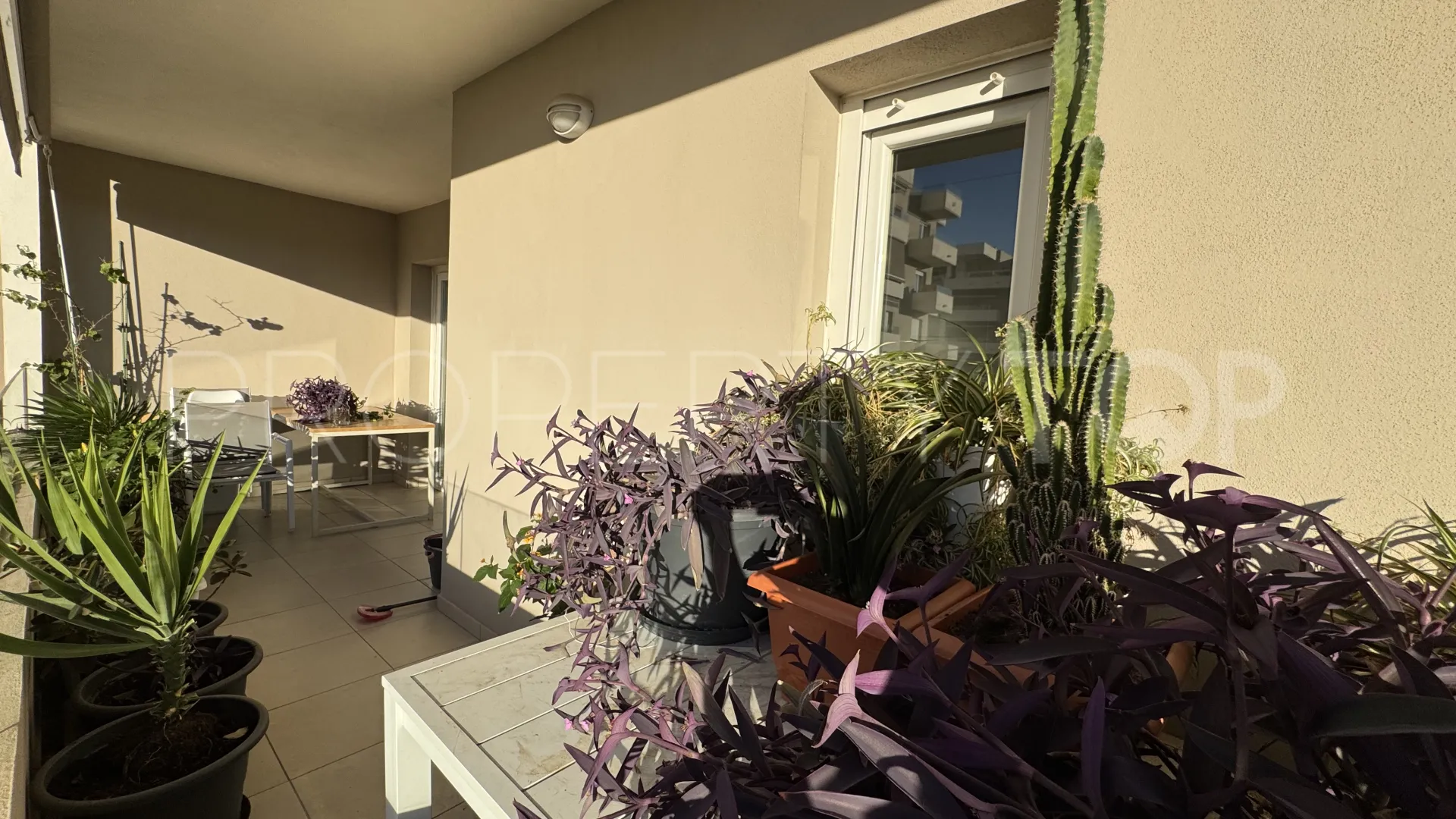 Buy Nueva Andalucia apartment