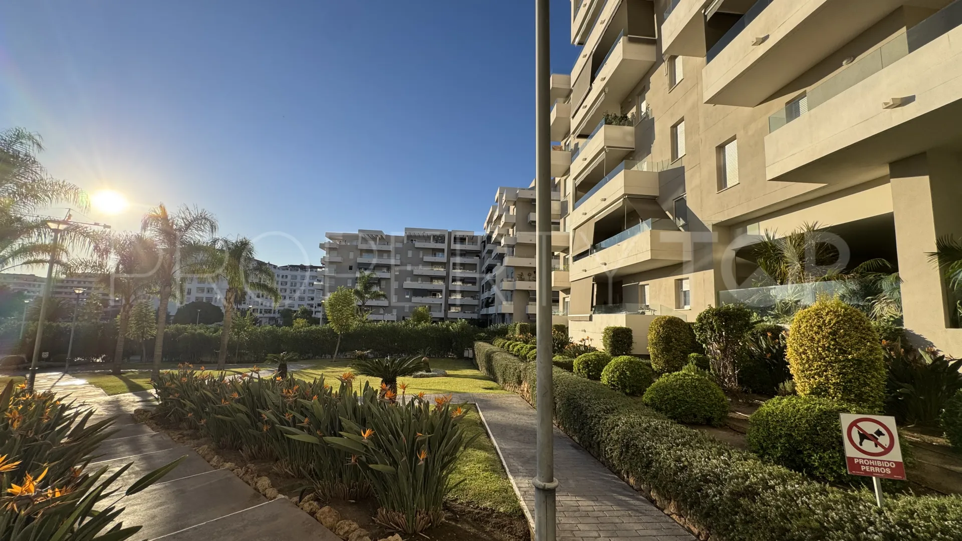Buy Nueva Andalucia apartment