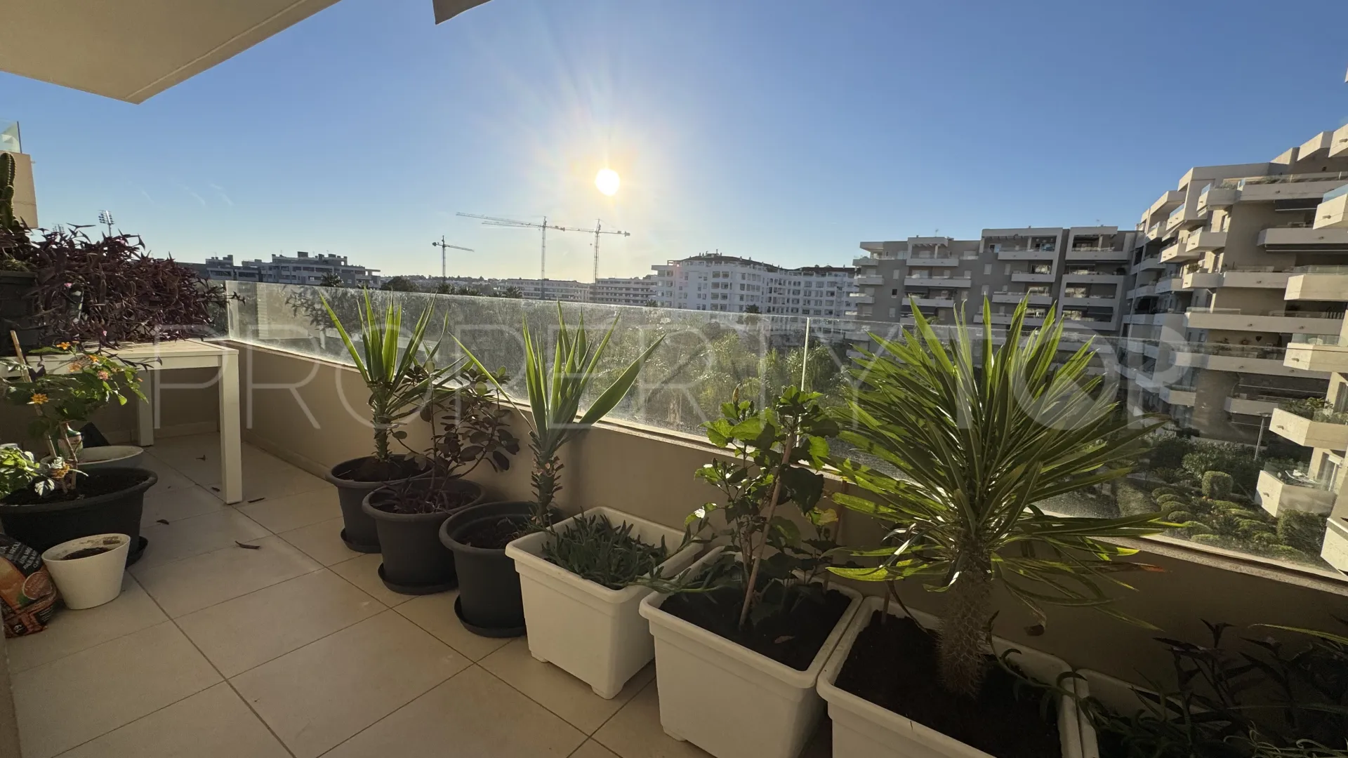 Buy Nueva Andalucia apartment