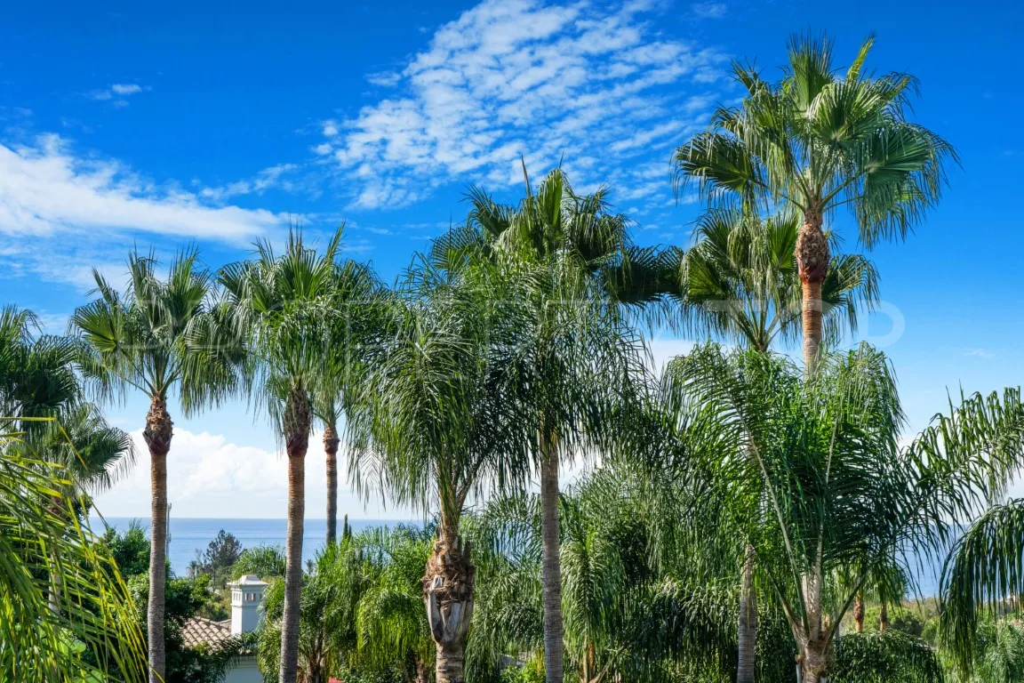 For sale villa in Lomas de Magna Marbella