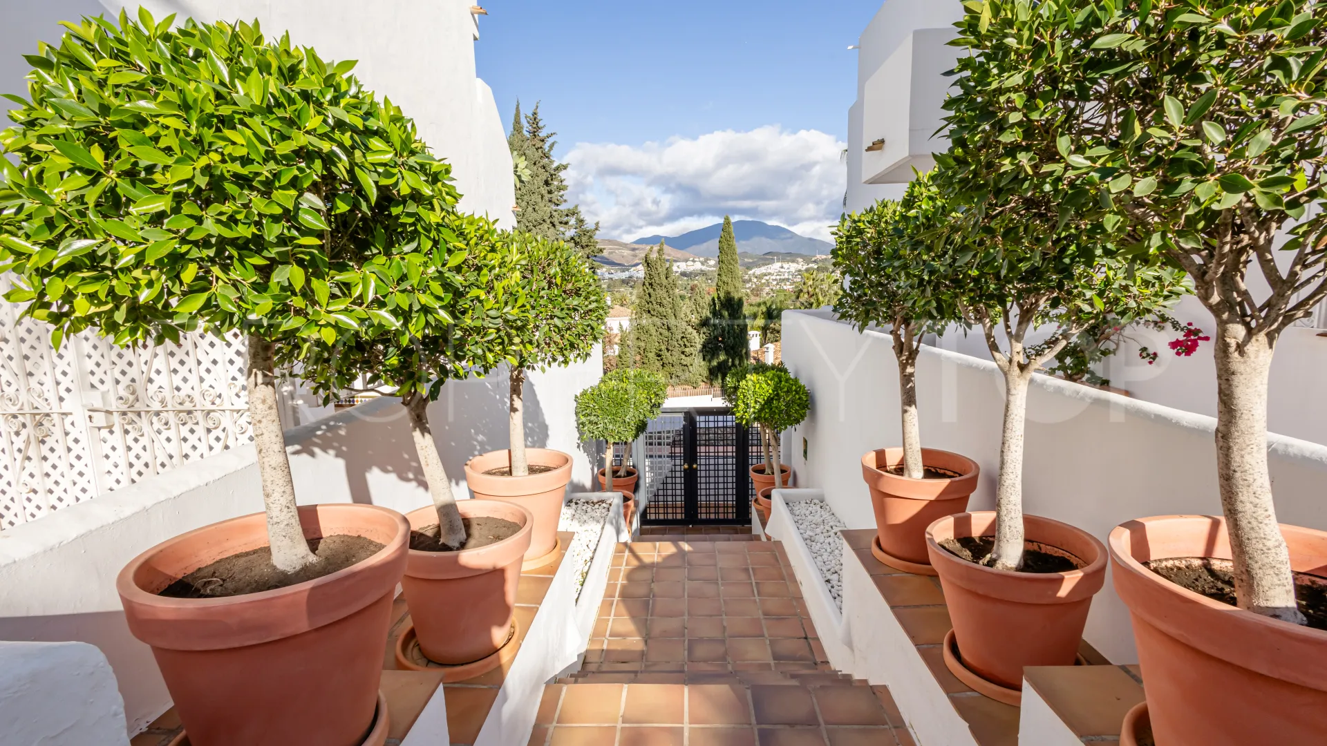 Comprar apartamento en Jardines de Andalucia