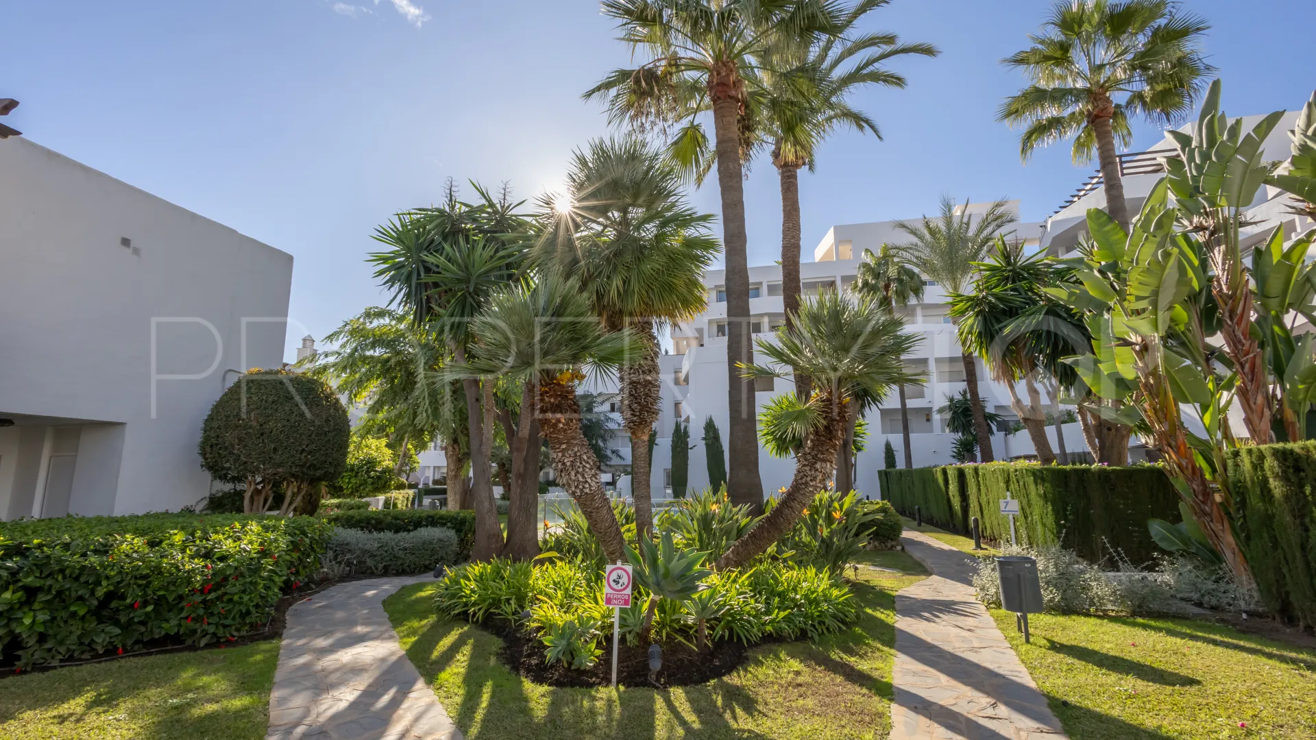 Comprar apartamento en Jardines de Andalucia