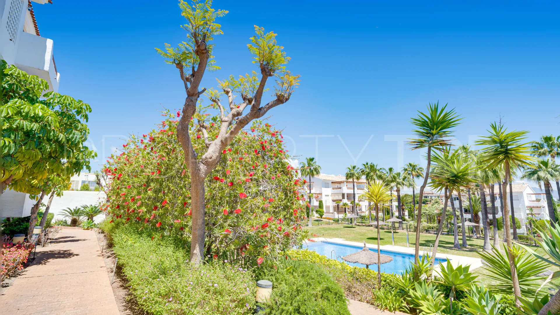 Apartment with 3 bedrooms for sale in Selwo Hills