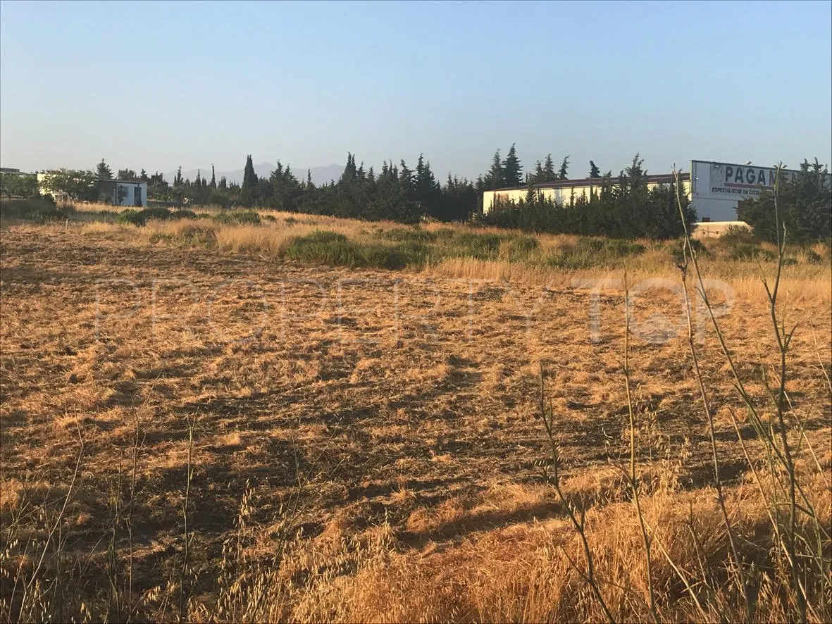Reinoso plot for sale