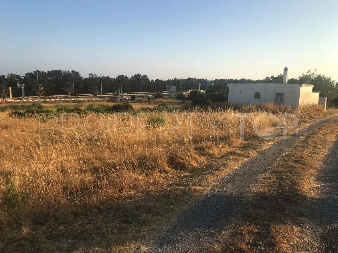 Reinoso plot for sale