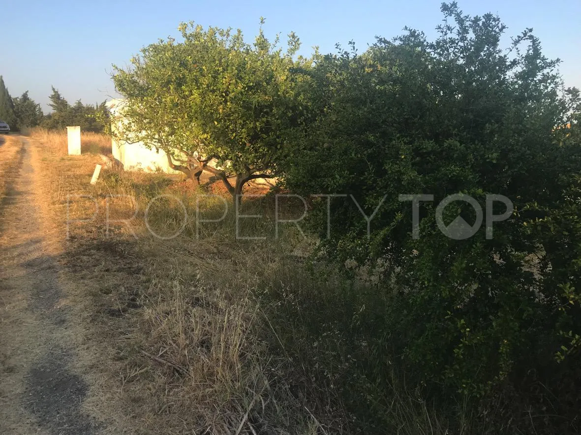 Reinoso plot for sale