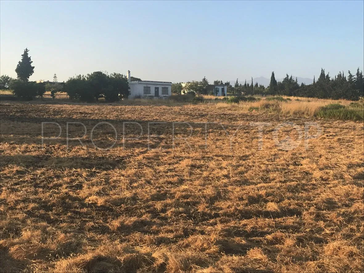 Reinoso plot for sale