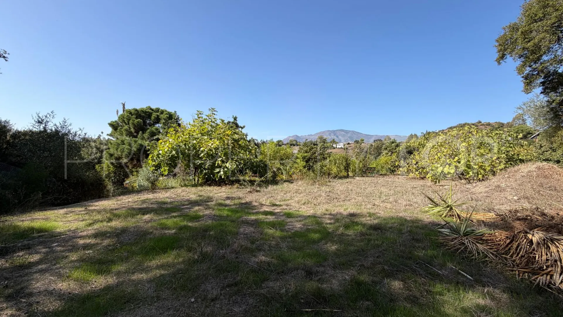 El Velerin country house for sale