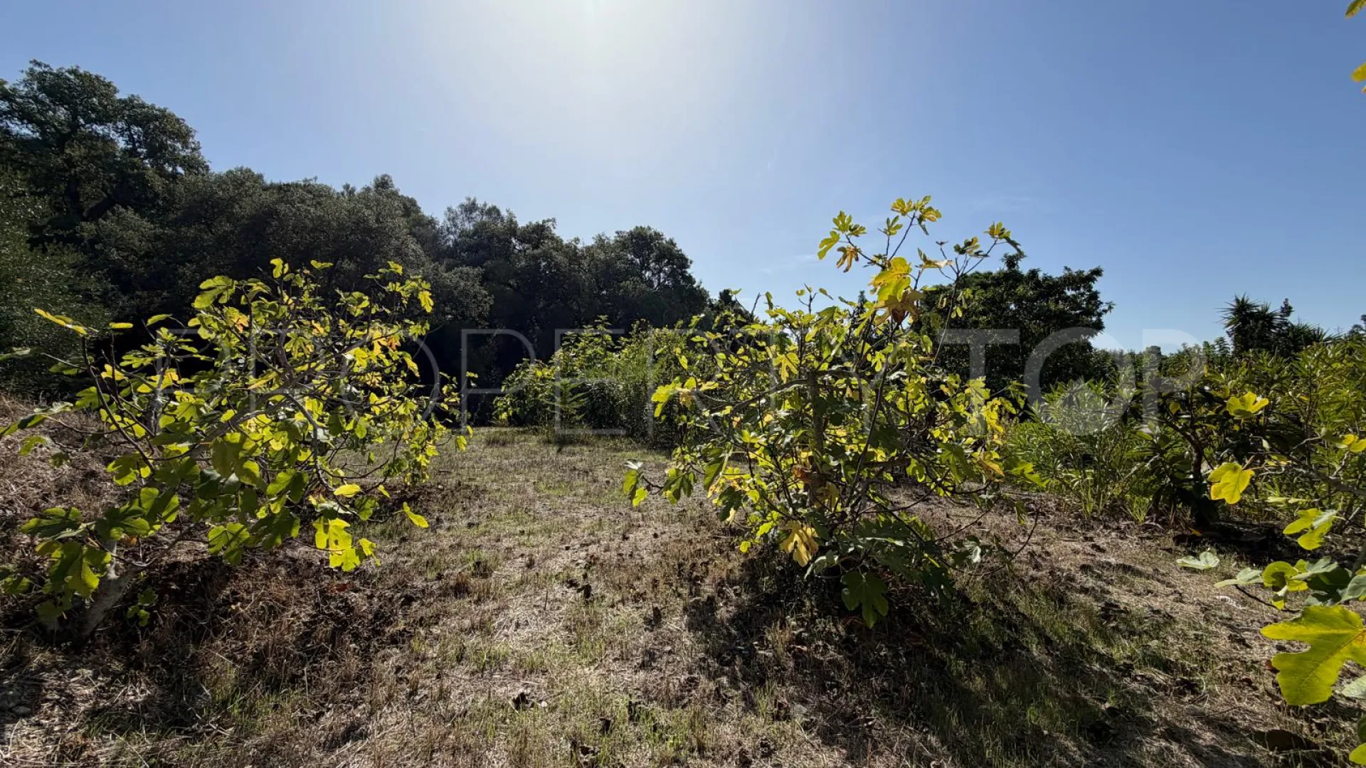 El Velerin country house for sale