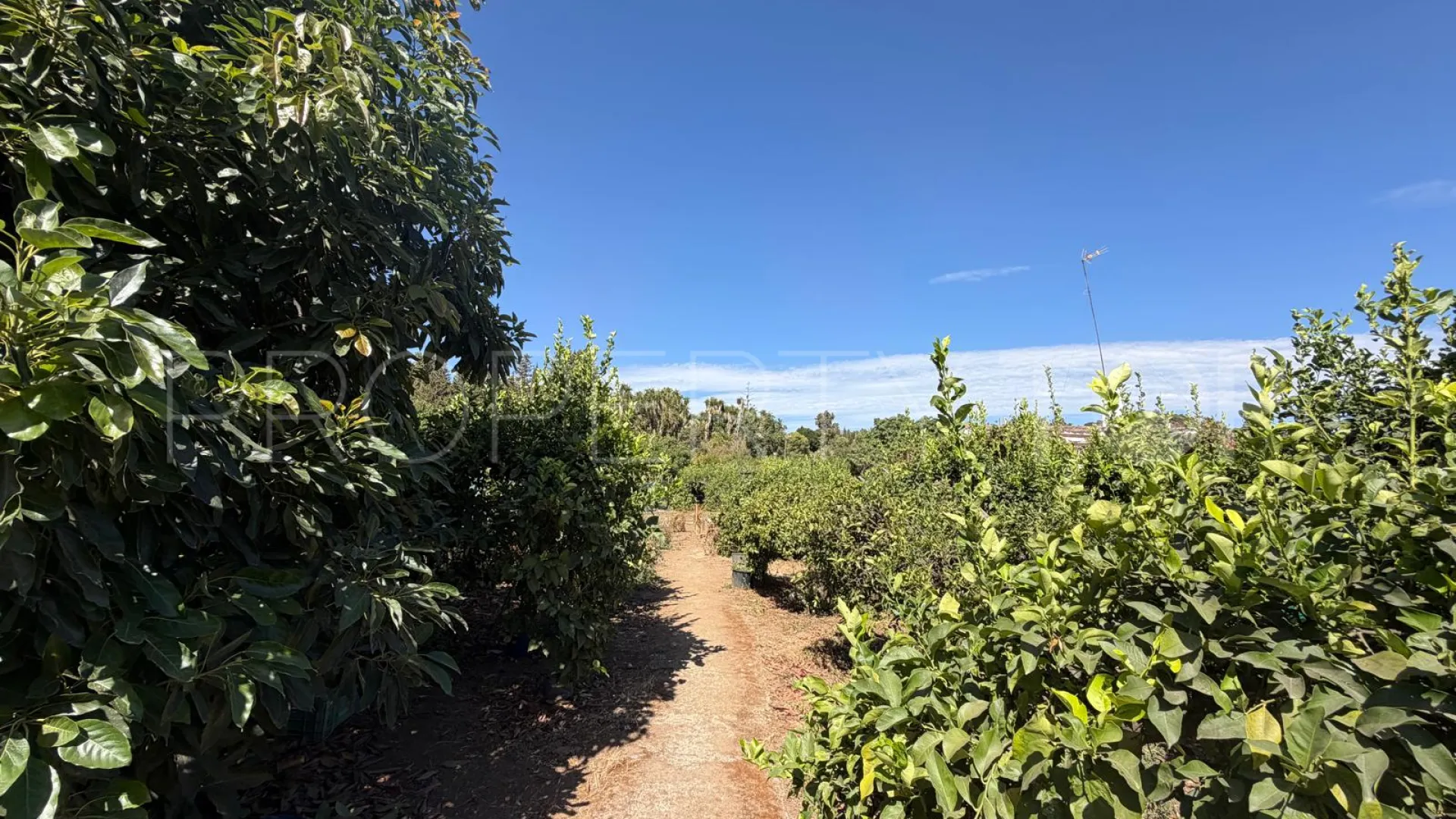 For sale plot in El Velerin