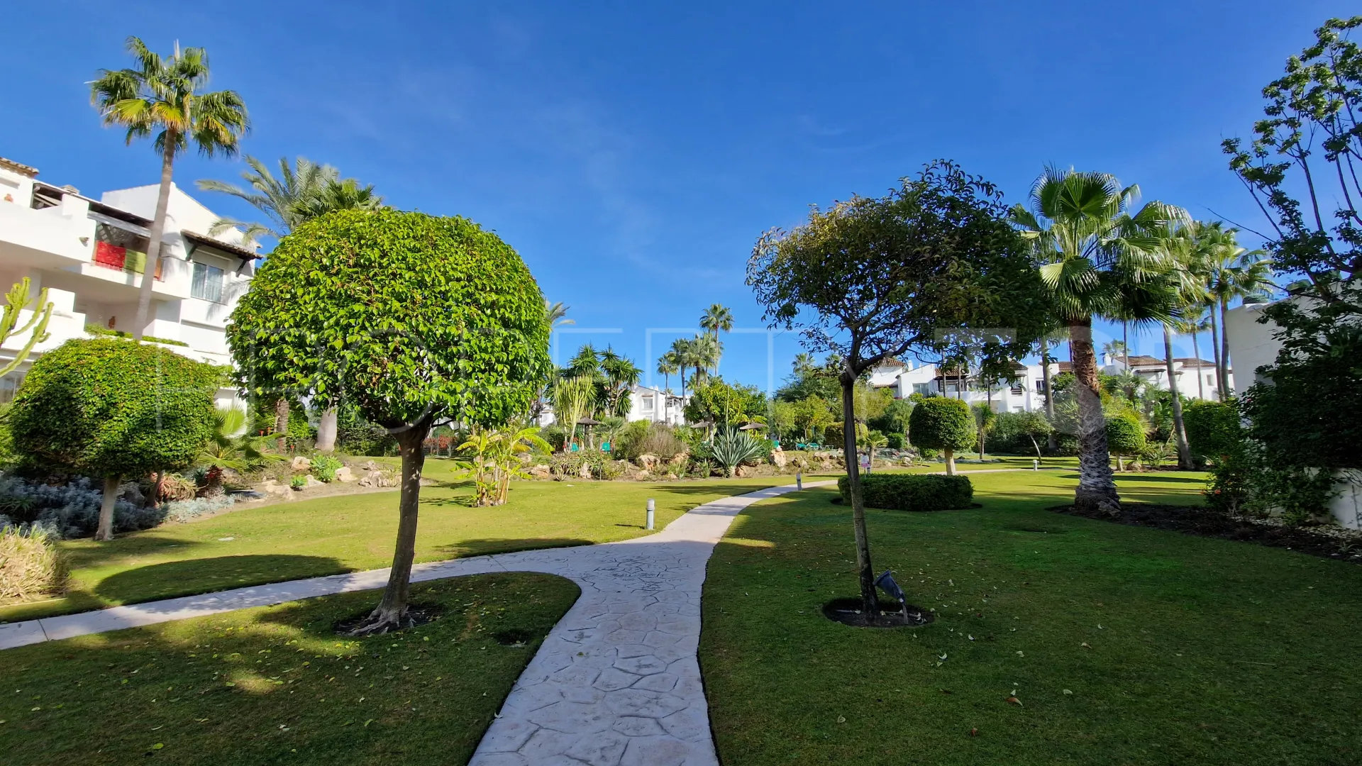 Costalita, apartamento planta baja con 3 dormitorios a la venta
