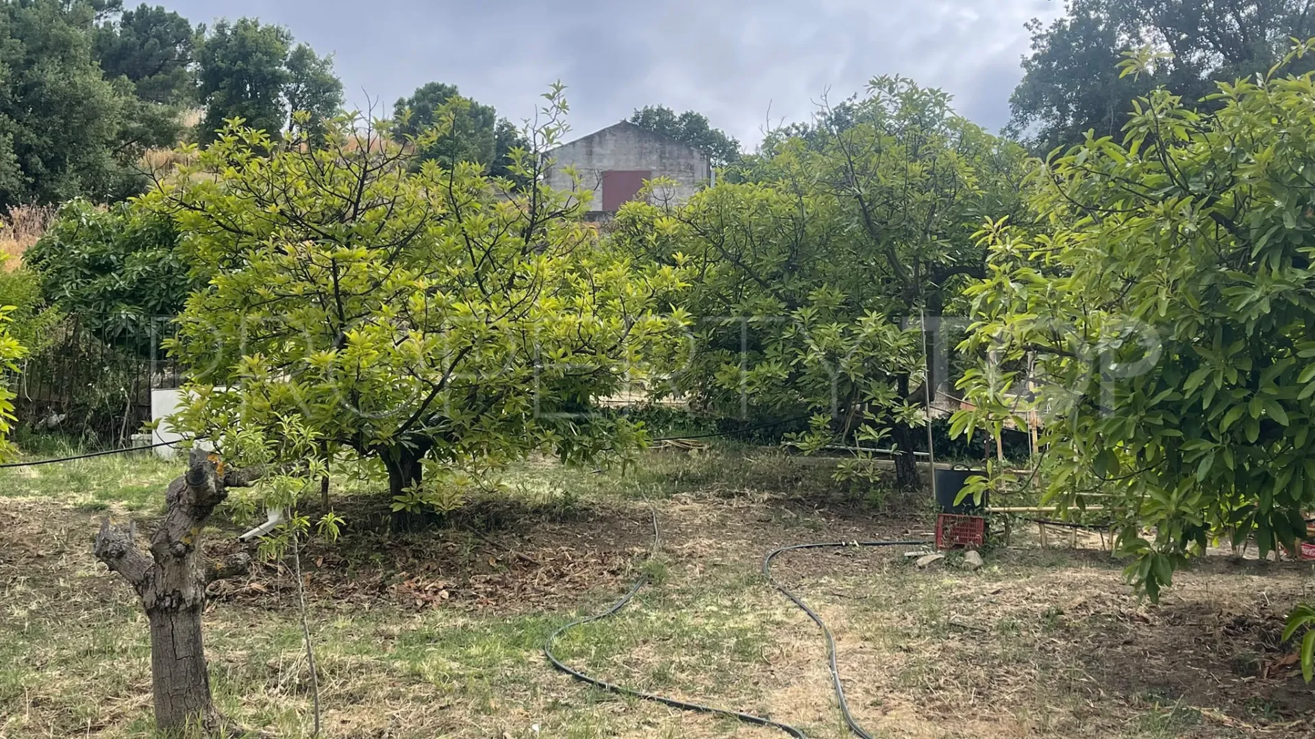 For sale plot in Los Reales - Sierra Estepona