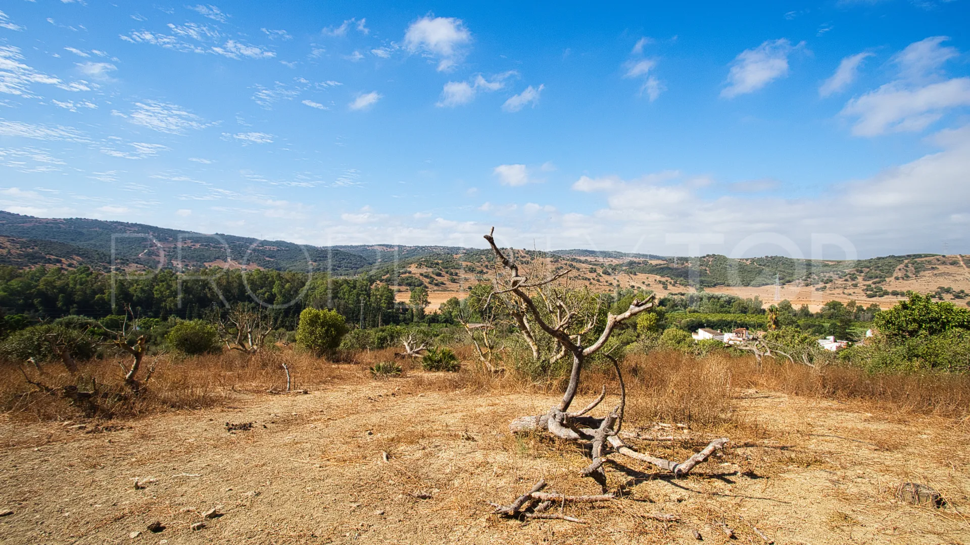 Finca en venta de 3 dormitorios en San Martin del Tesorillo