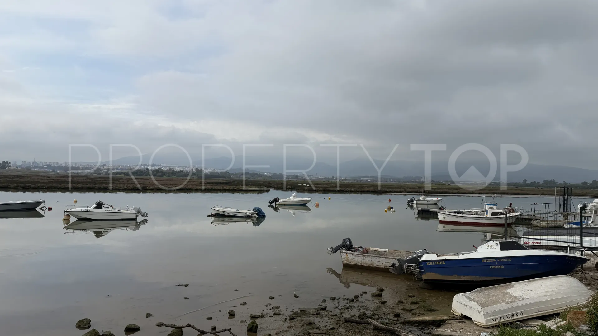 Palmones commercial premises for sale