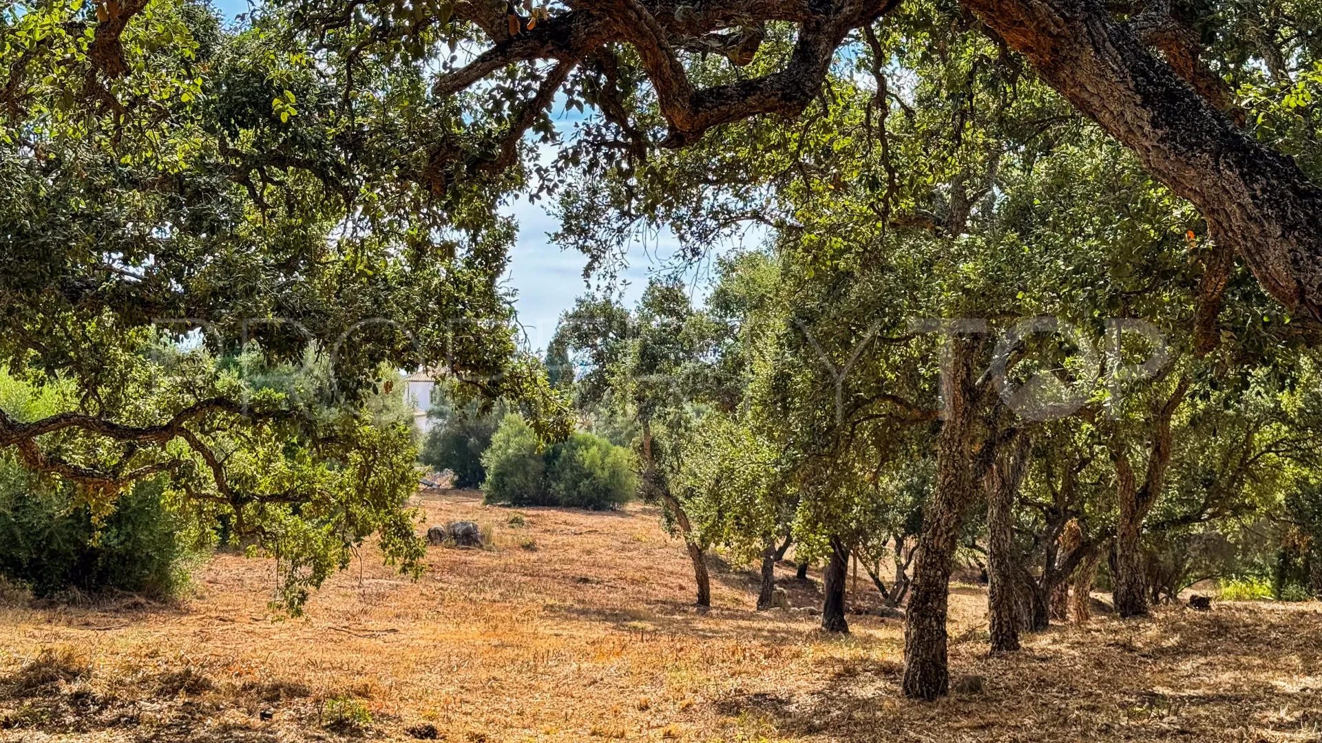 Parcela a la venta en Los Altos de Valderrama