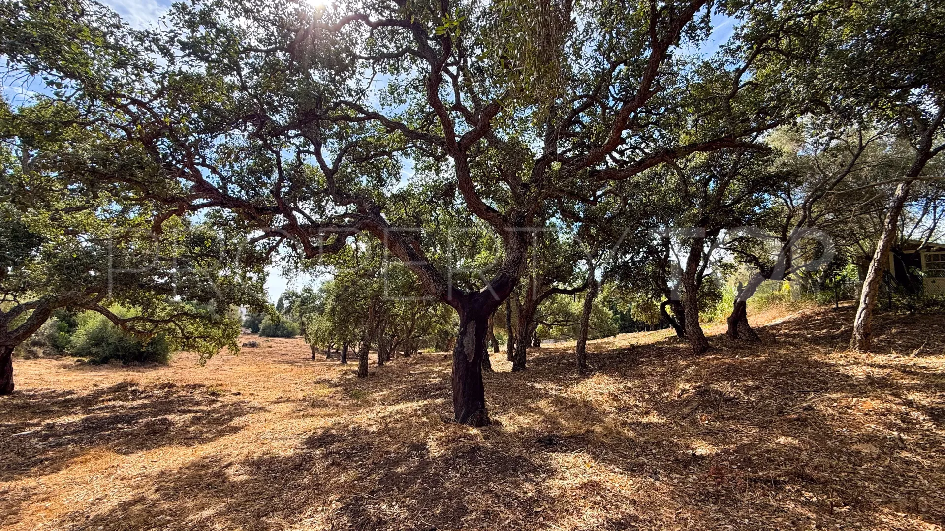 Comprar parcela en Los Altos de Valderrama