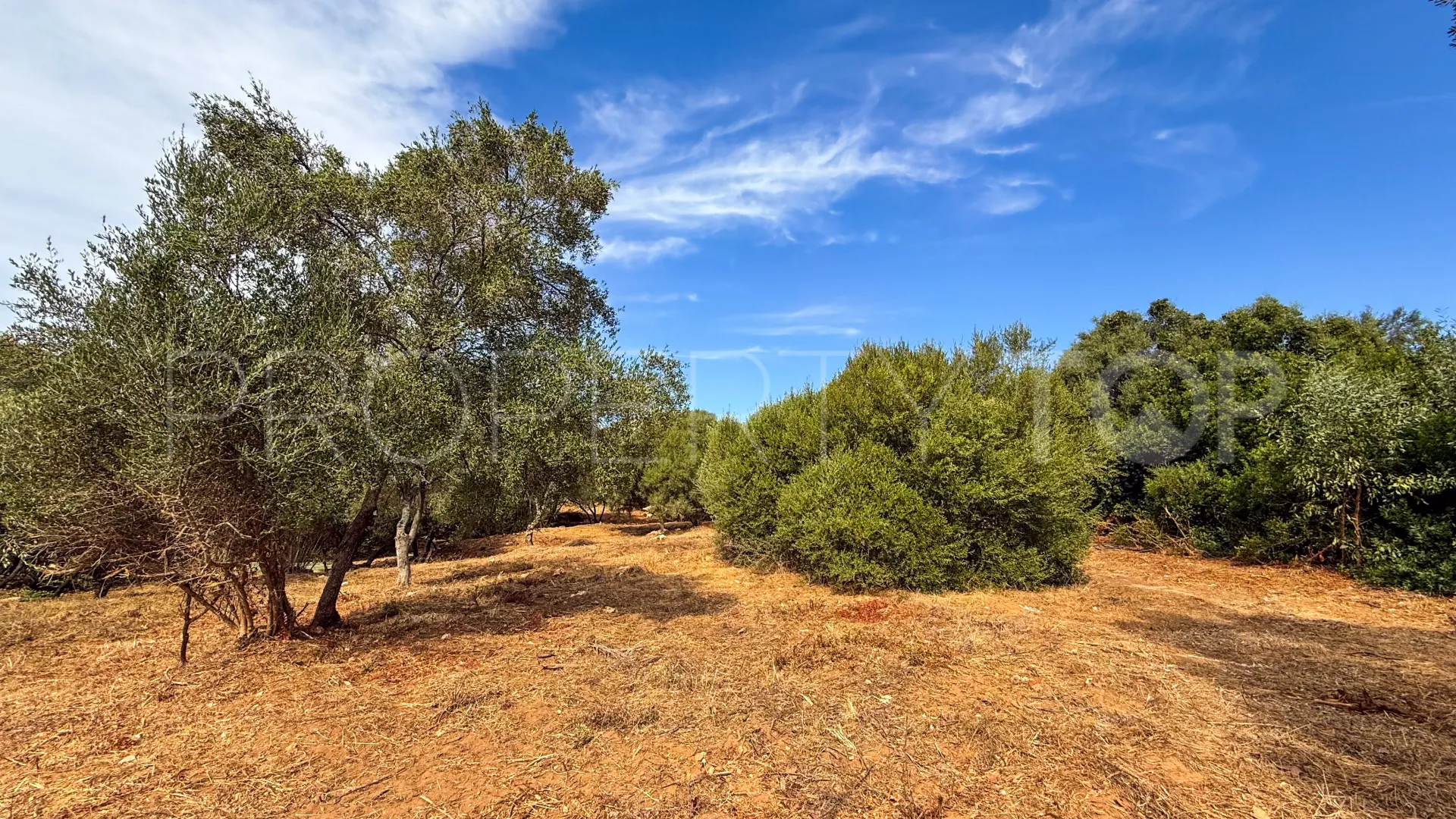 Comprar parcela en Los Altos de Valderrama