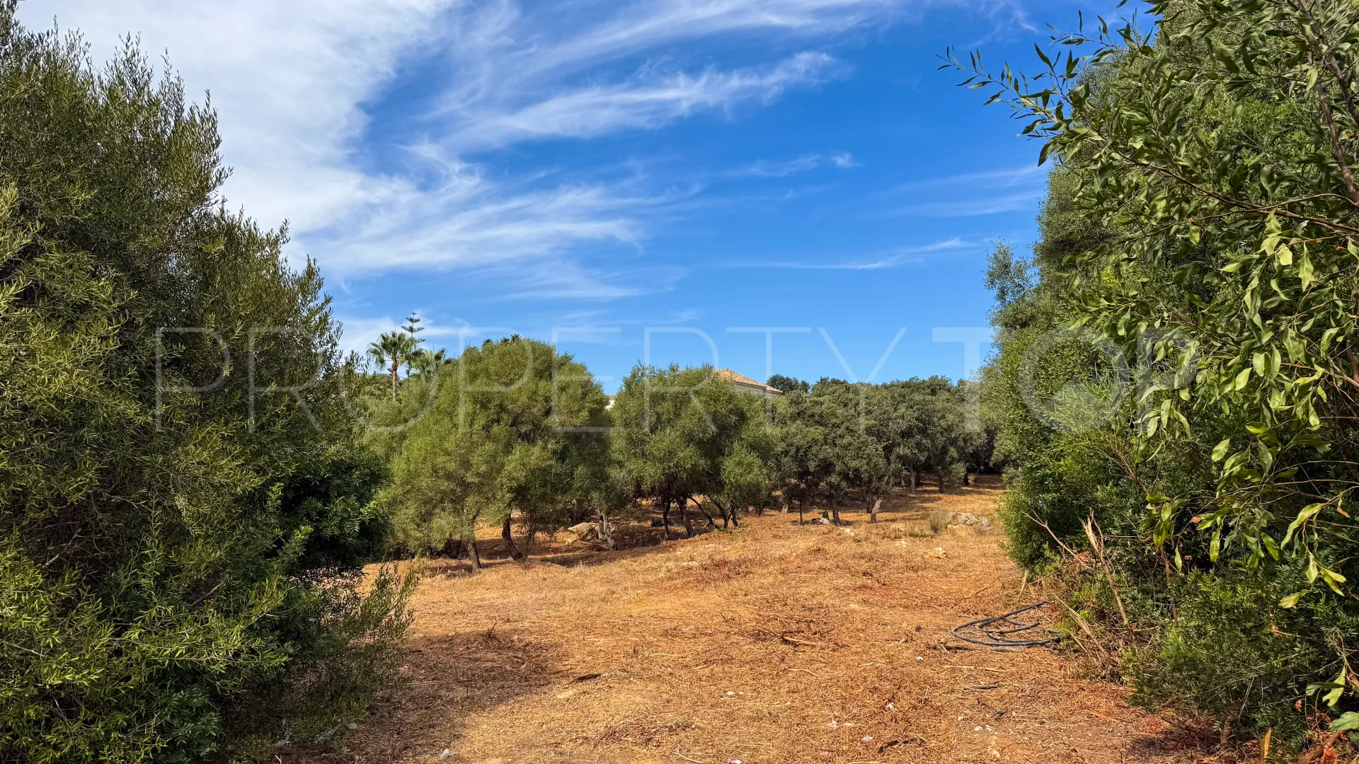 Comprar parcela en Los Altos de Valderrama