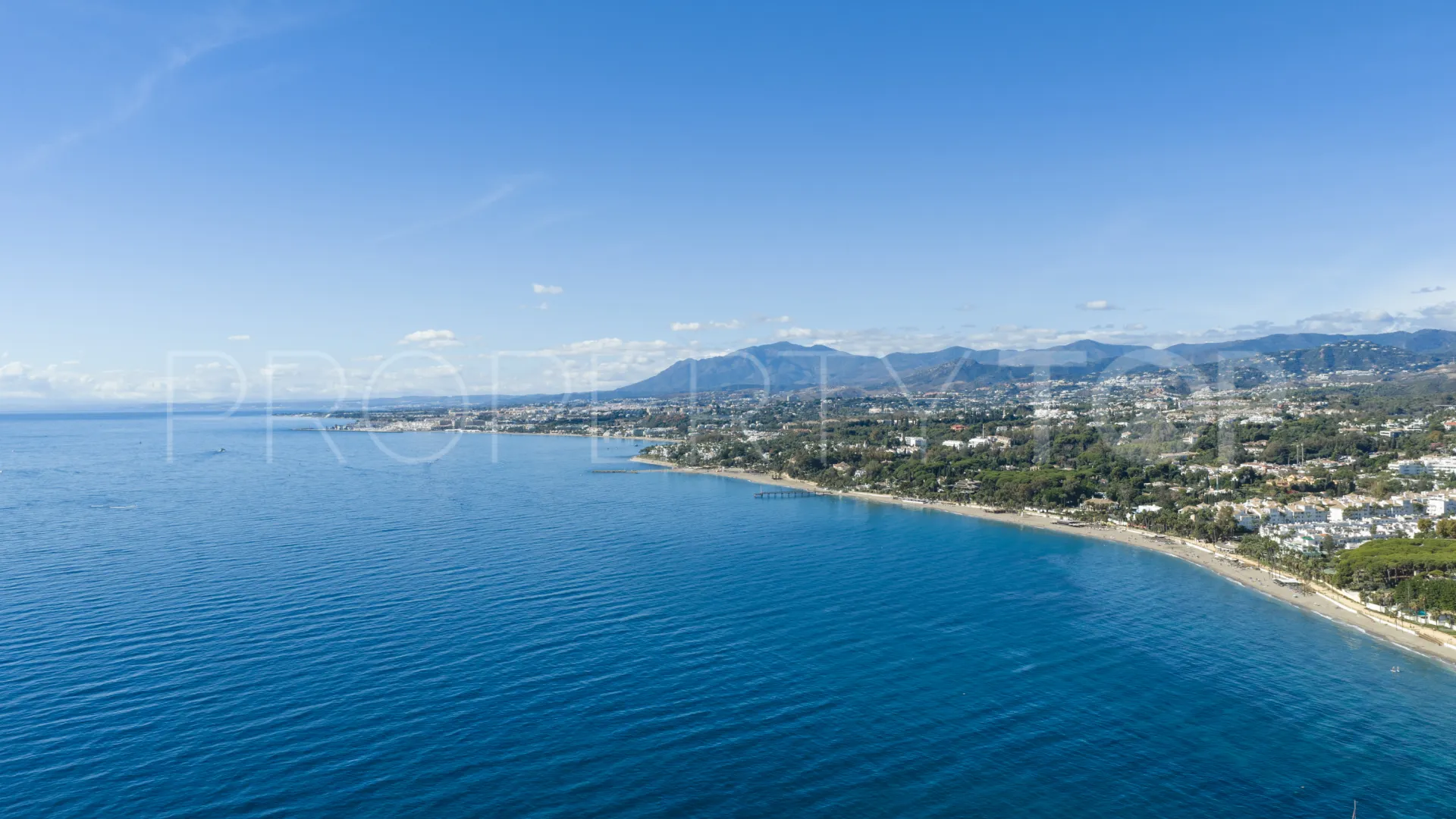 Los Monteros villa for sale