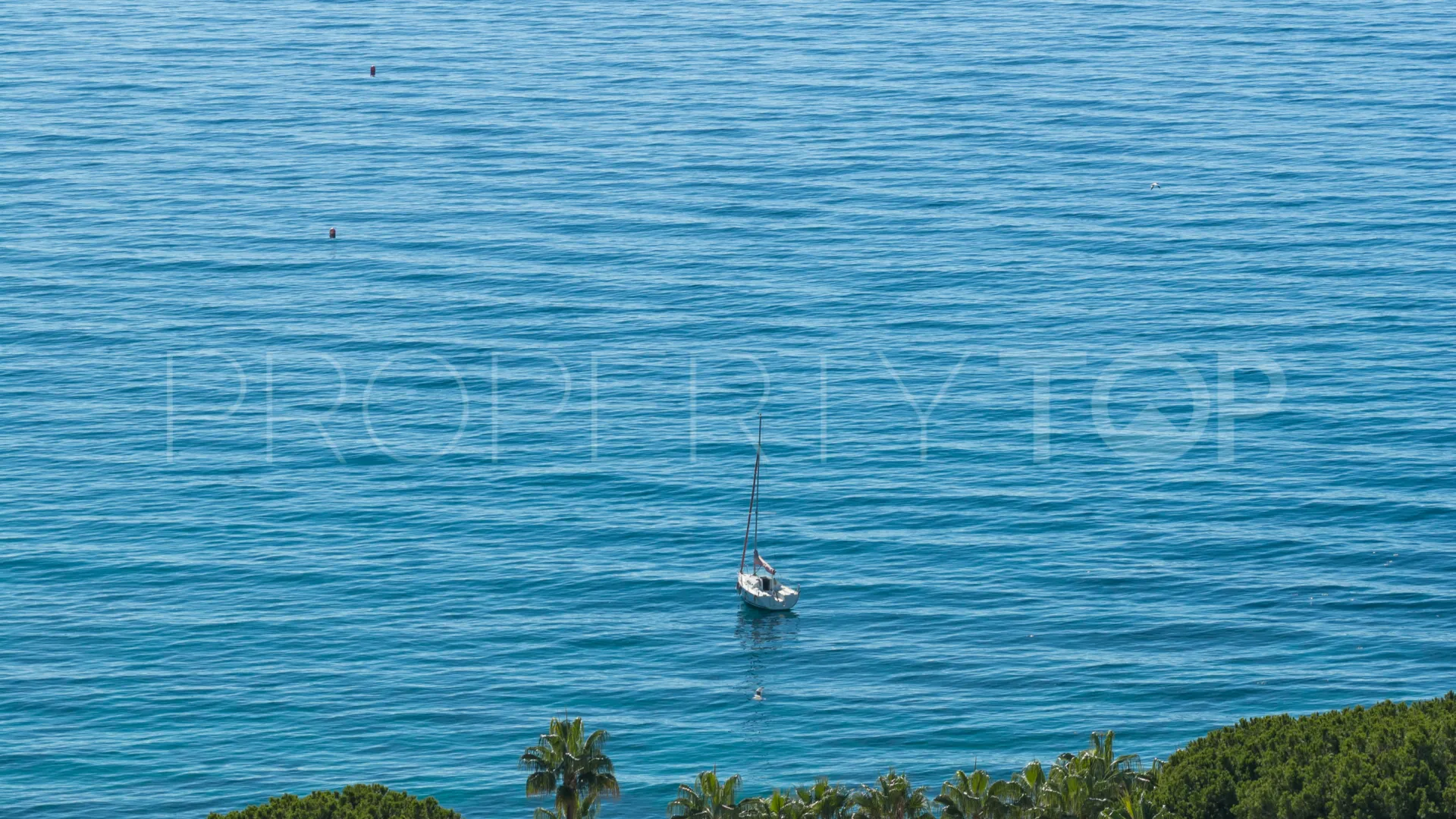 Los Monteros villa for sale