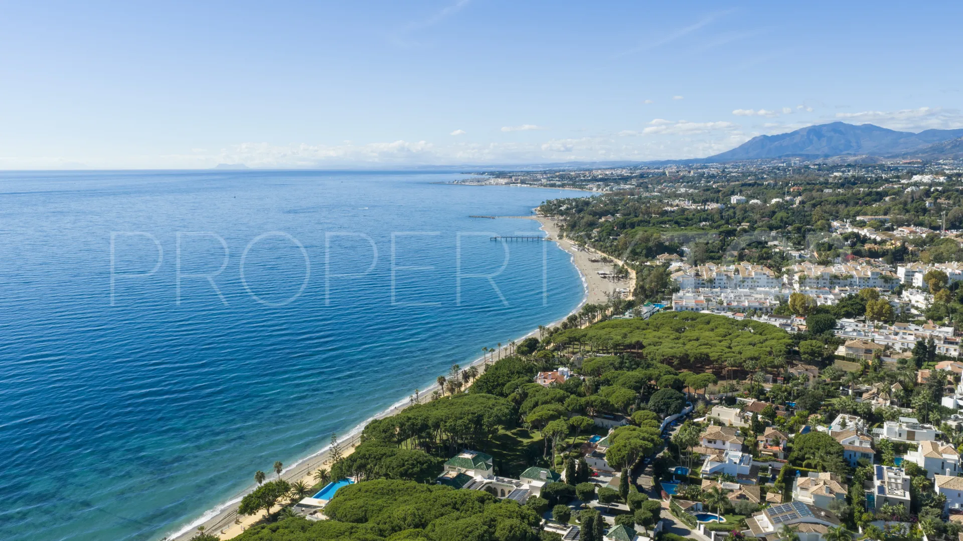 Los Monteros villa for sale