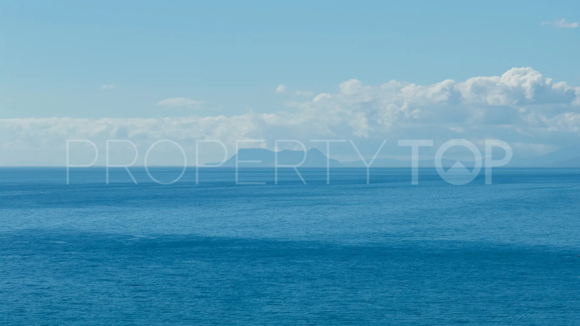 Los Monteros villa for sale