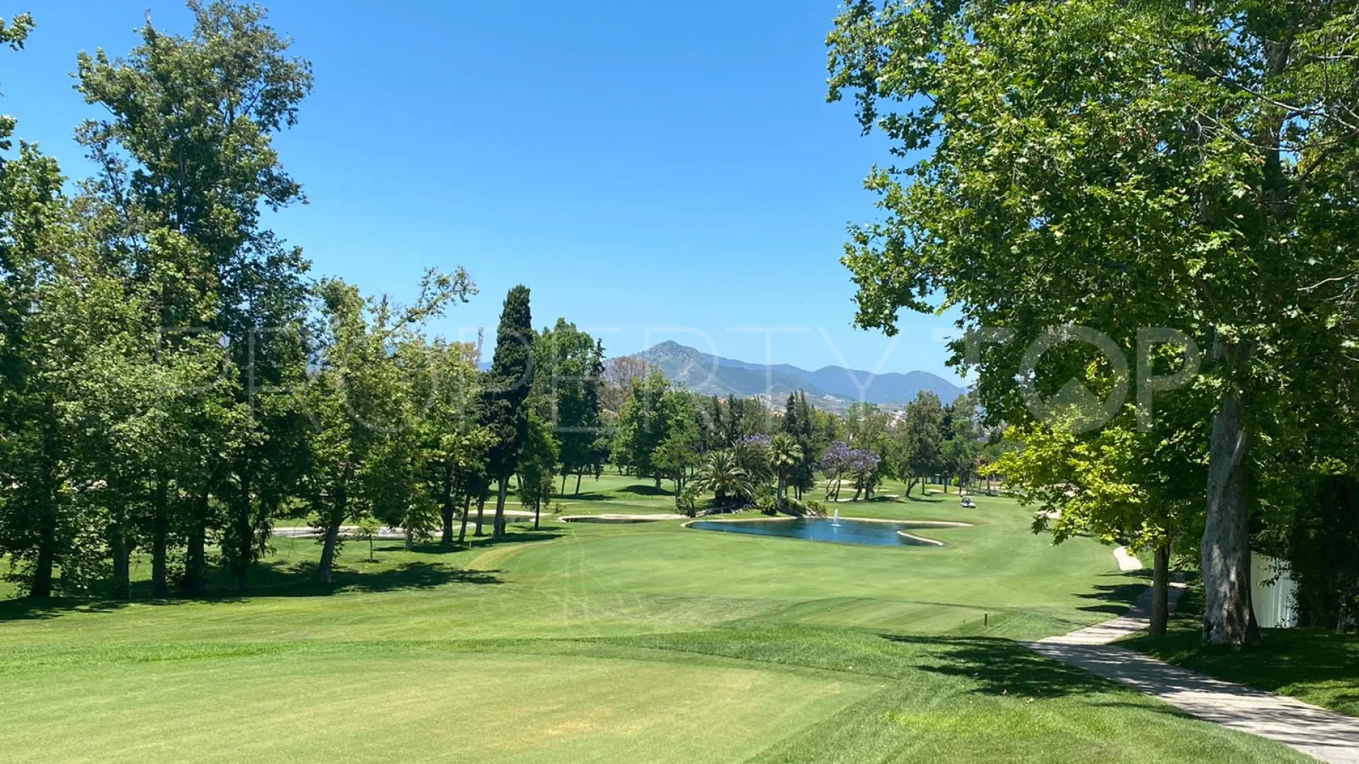 5 bedrooms Guadalmina Alta villa for sale
