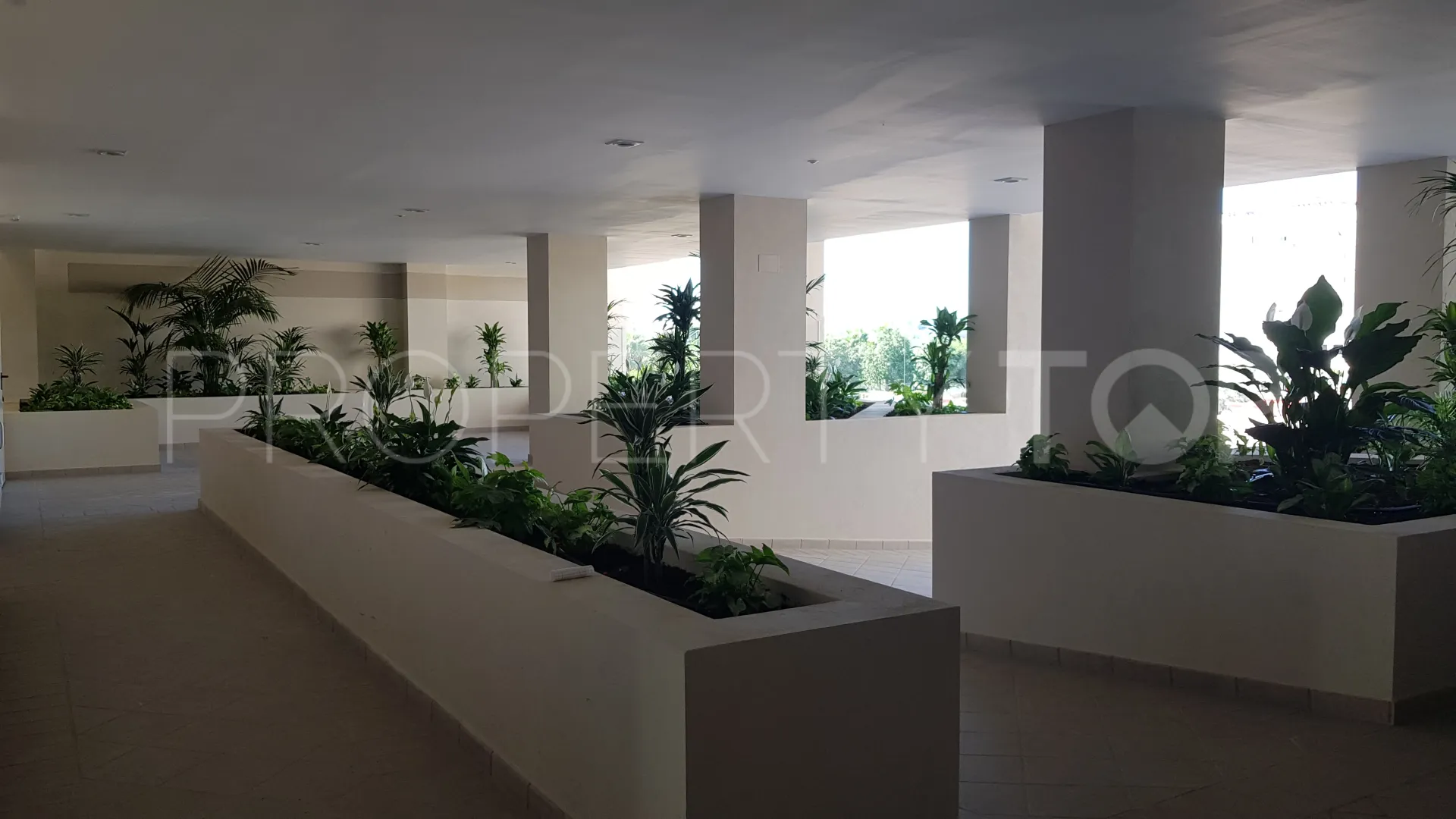 Buy apartment in Nueva Andalucia