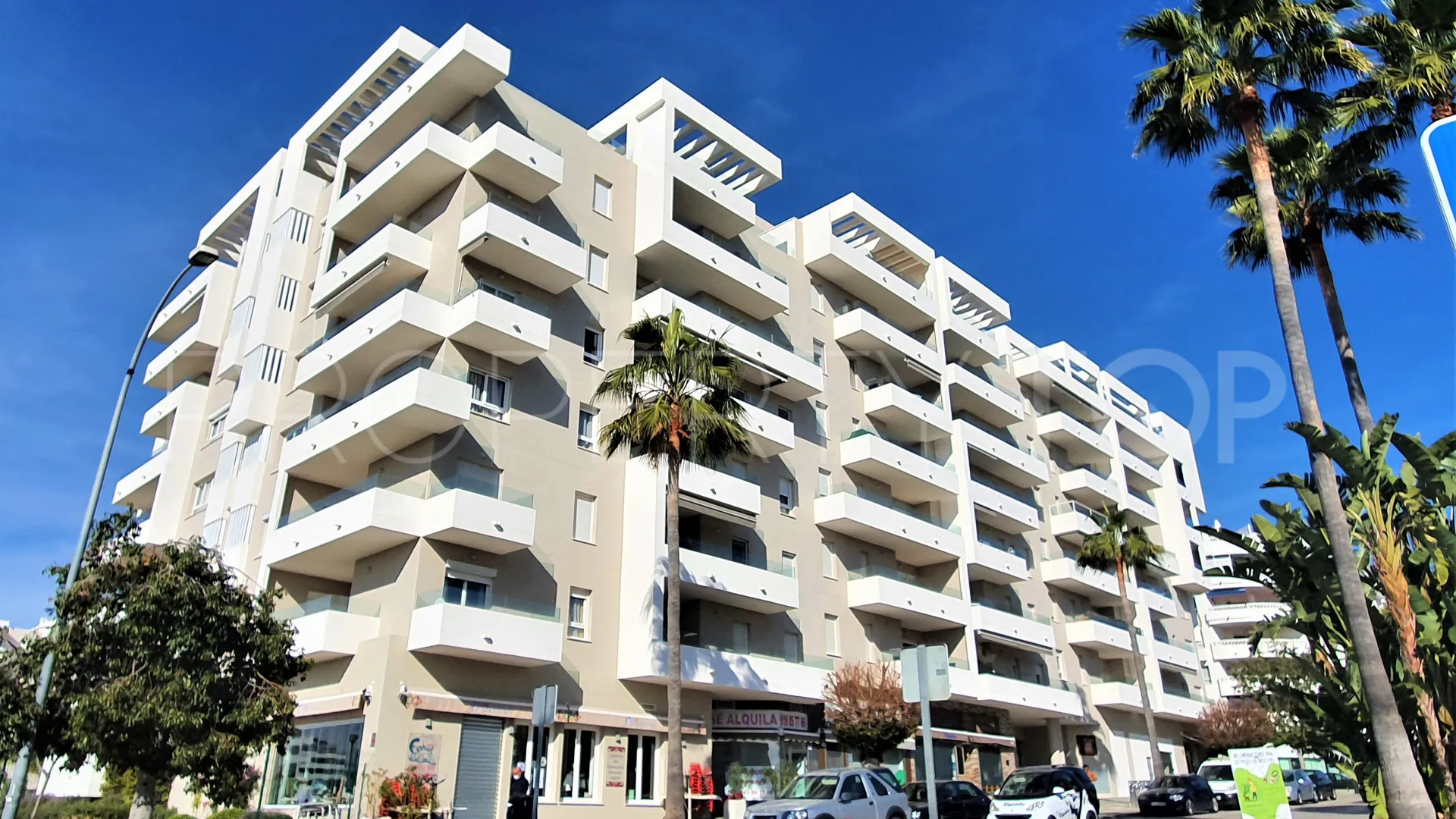 Buy apartment in Nueva Andalucia