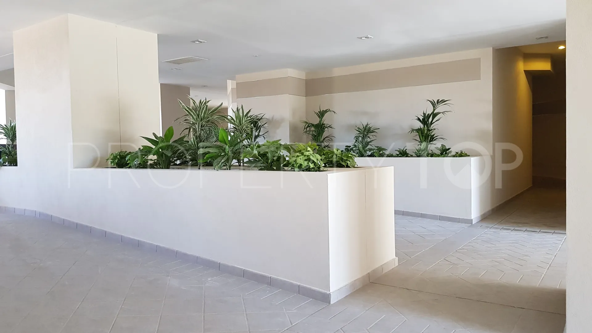 Buy apartment in Nueva Andalucia