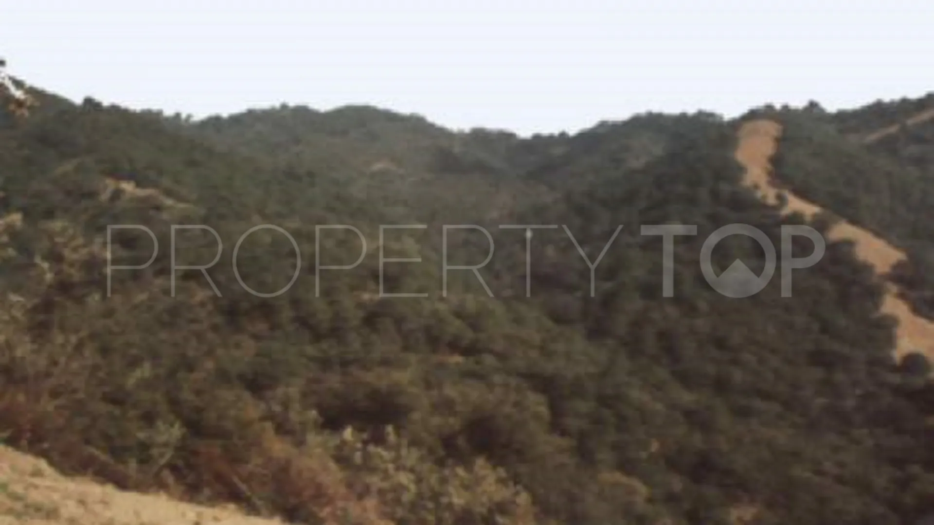 For sale plot in El Velerin