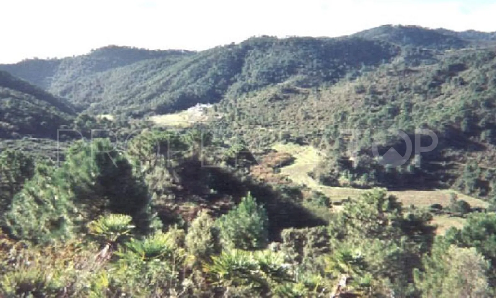 Parcela a la venta en El Velerin