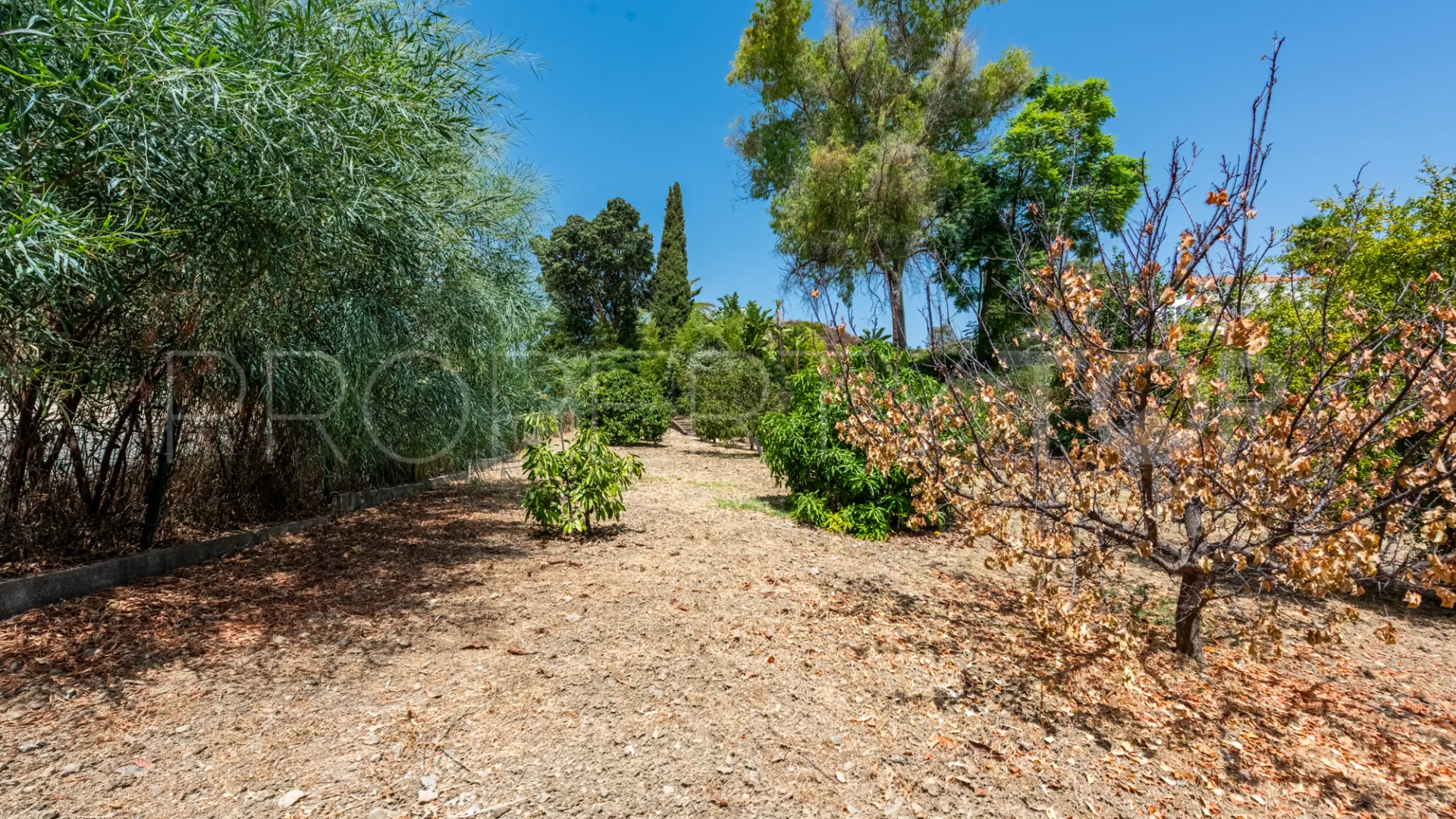 5 bedrooms Vega del Colorado villa for sale