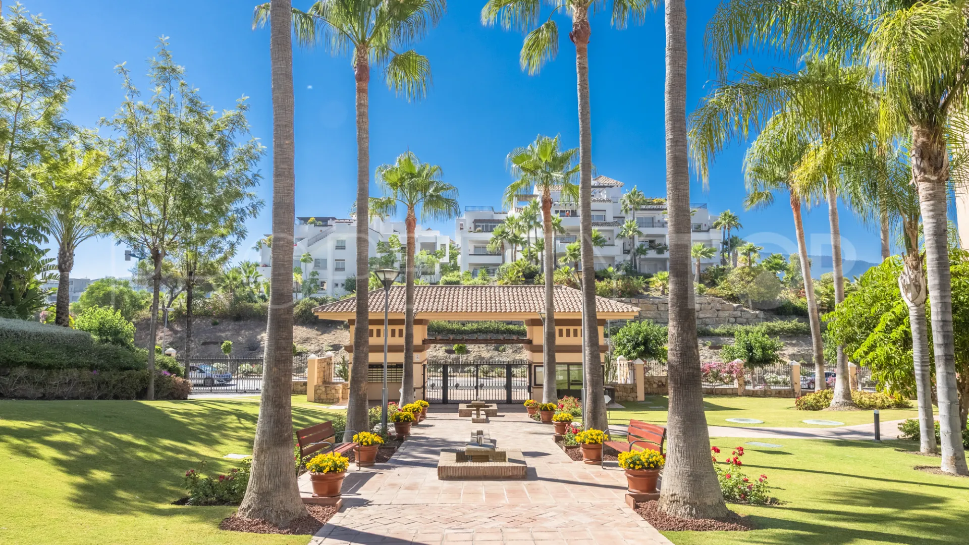 Las lomas del Conde Luque penthouse for sale