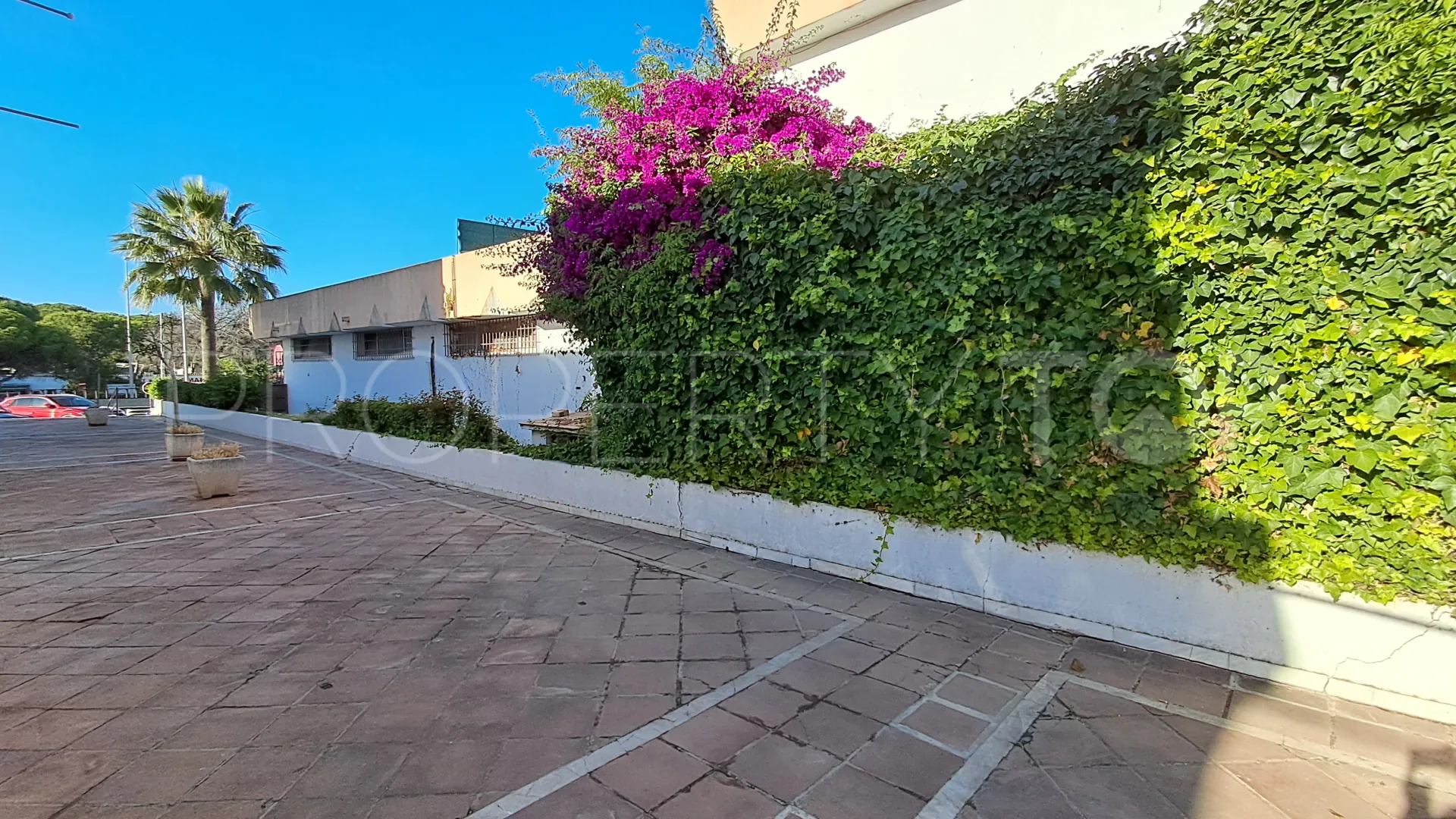 Comprar local comercial en El Pilar