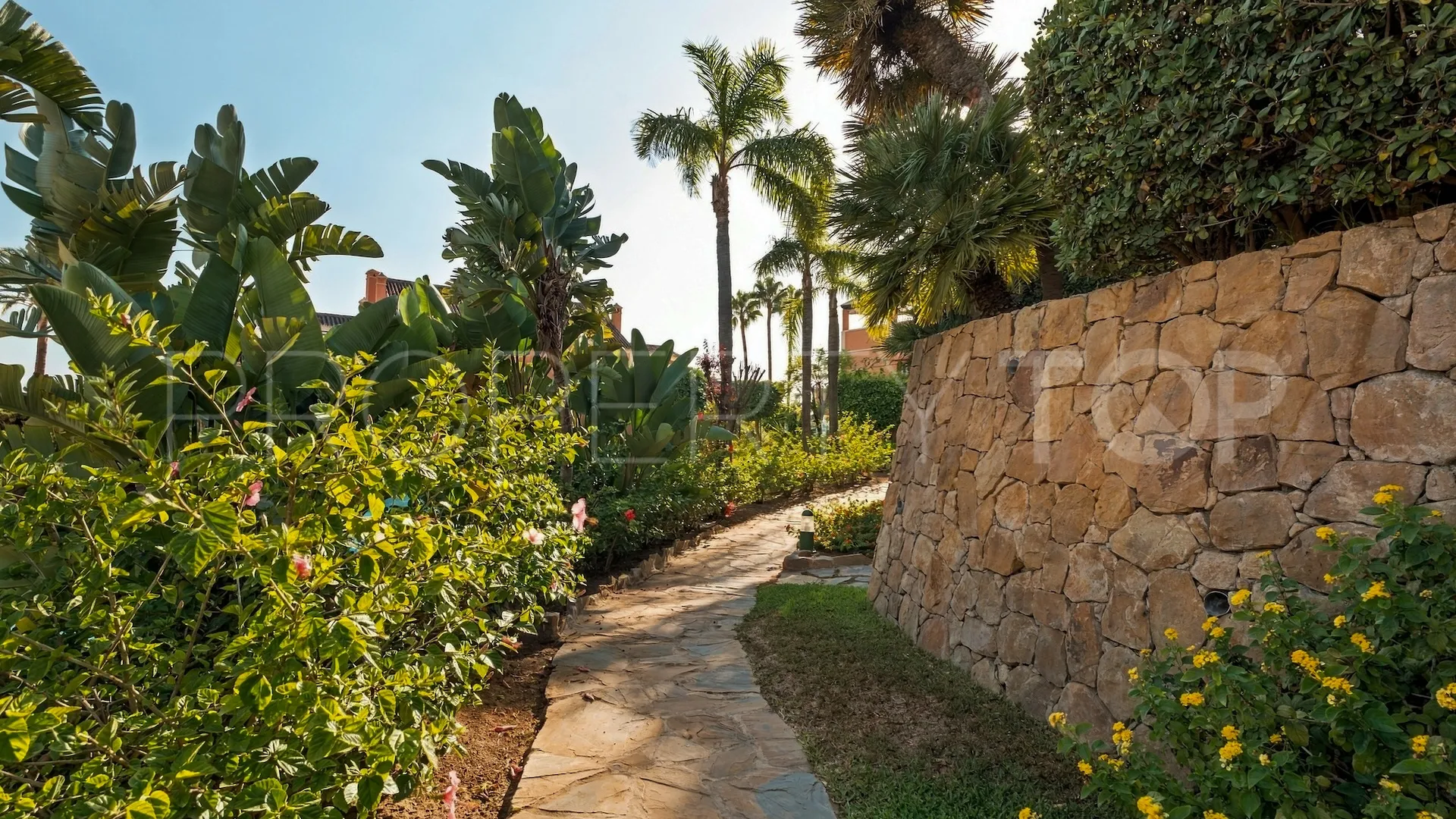 For sale 3 bedrooms duplex penthouse in Andalucia Alta