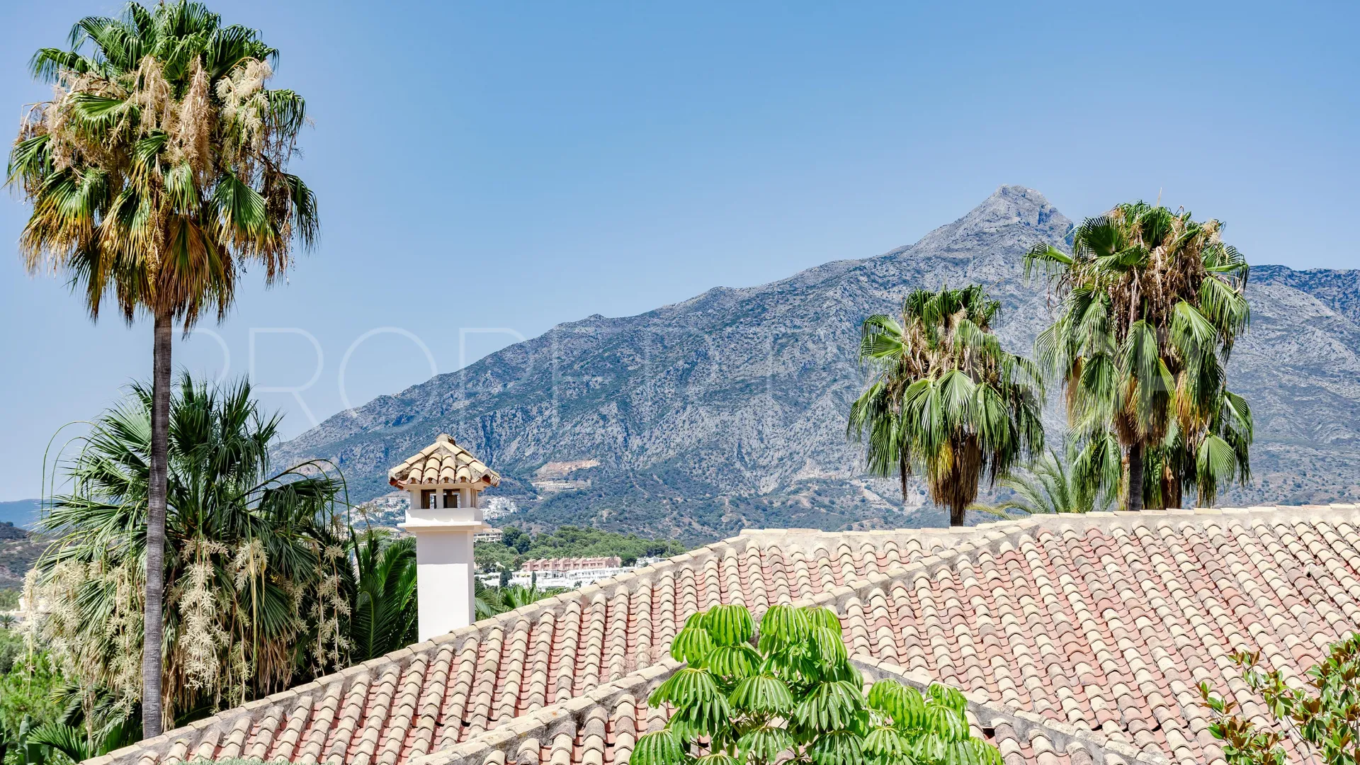 Villa for sale in Nueva Andalucia