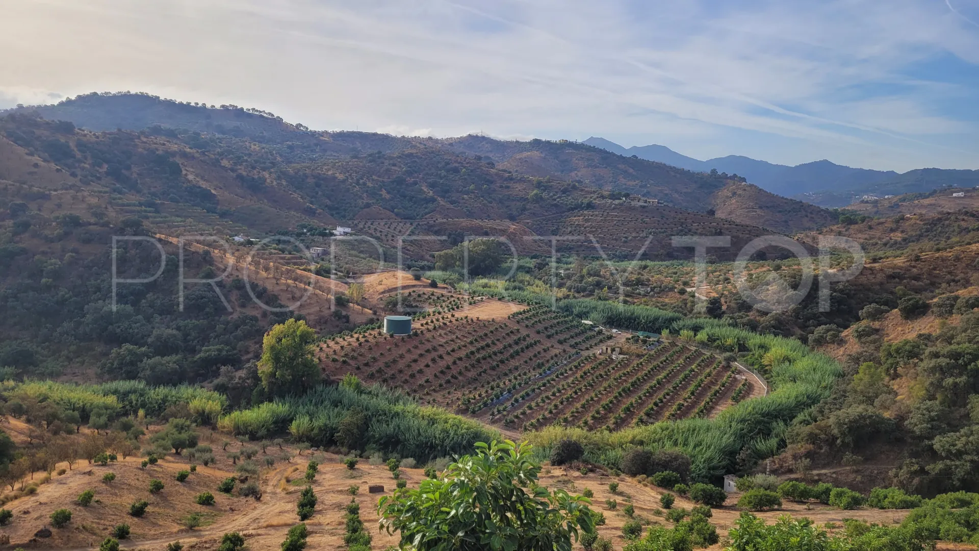 For sale plot in Guaro
