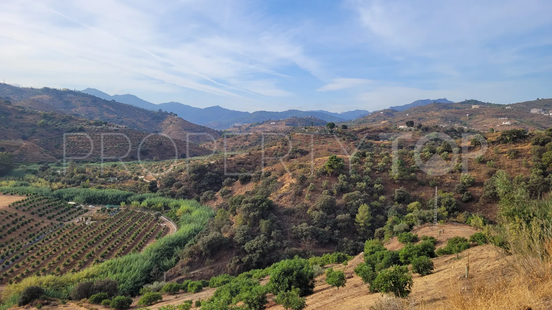 For sale plot in Guaro