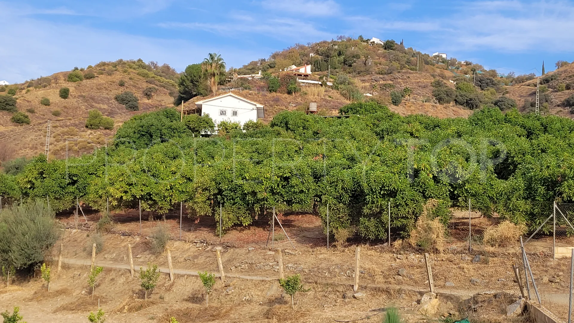 For sale plot in Guaro