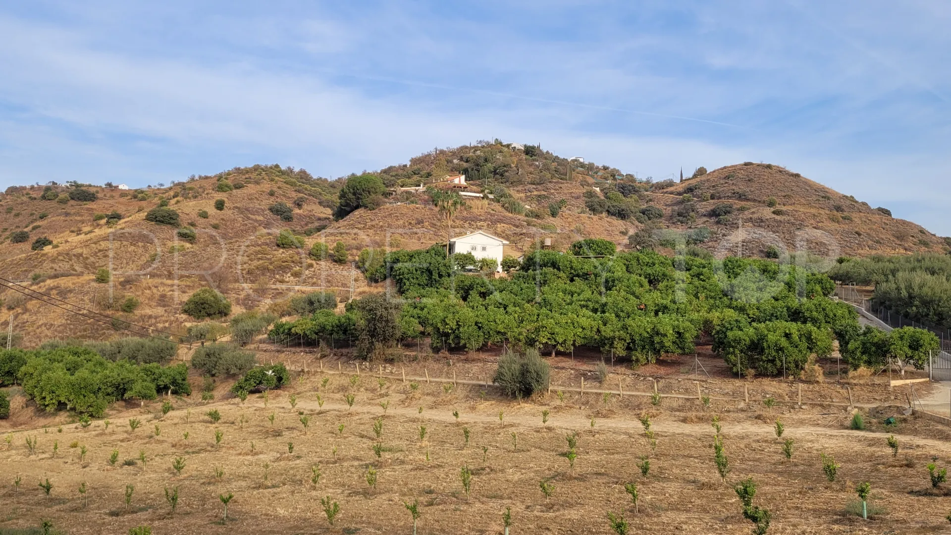 For sale plot in Guaro